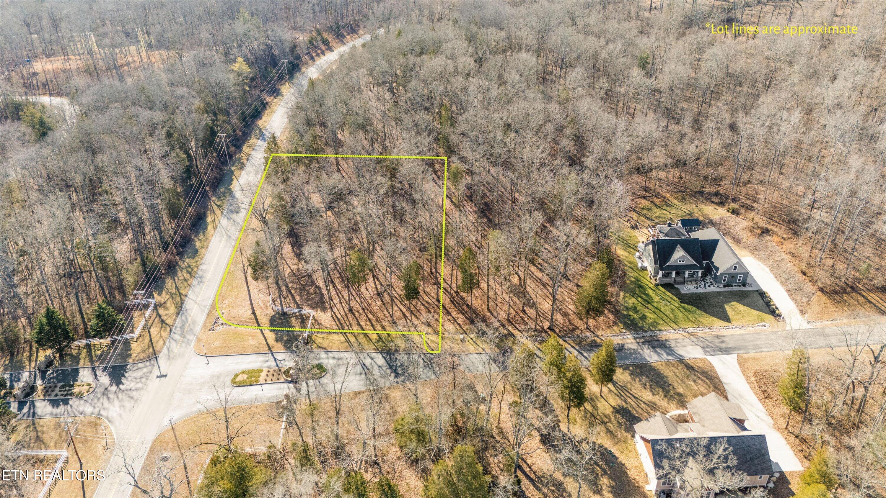 380 Walking Horse Trail Rockwood TN 37854