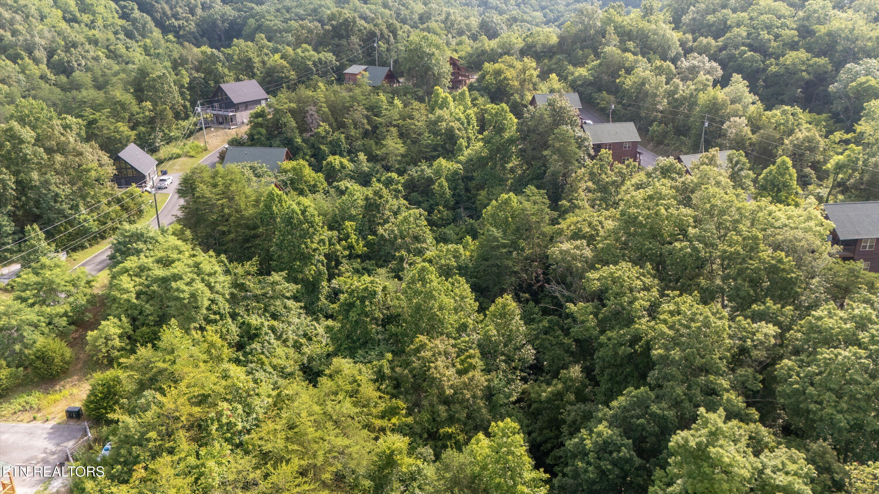 Wingspan Drive Sevierville TN 37862