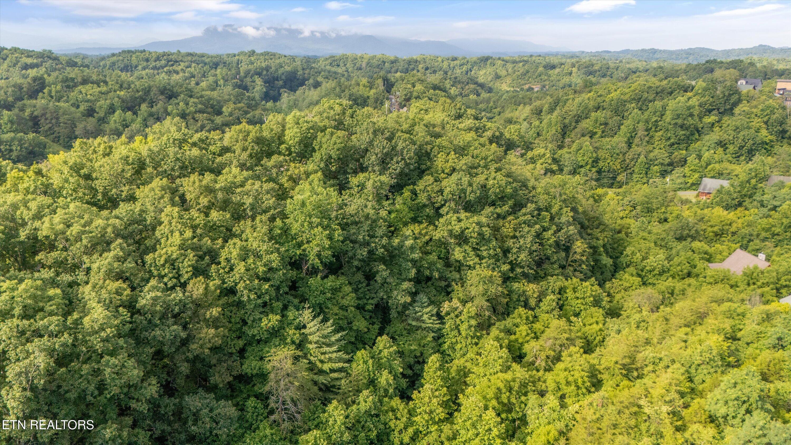 Wingspan Drive Sevierville TN 37862