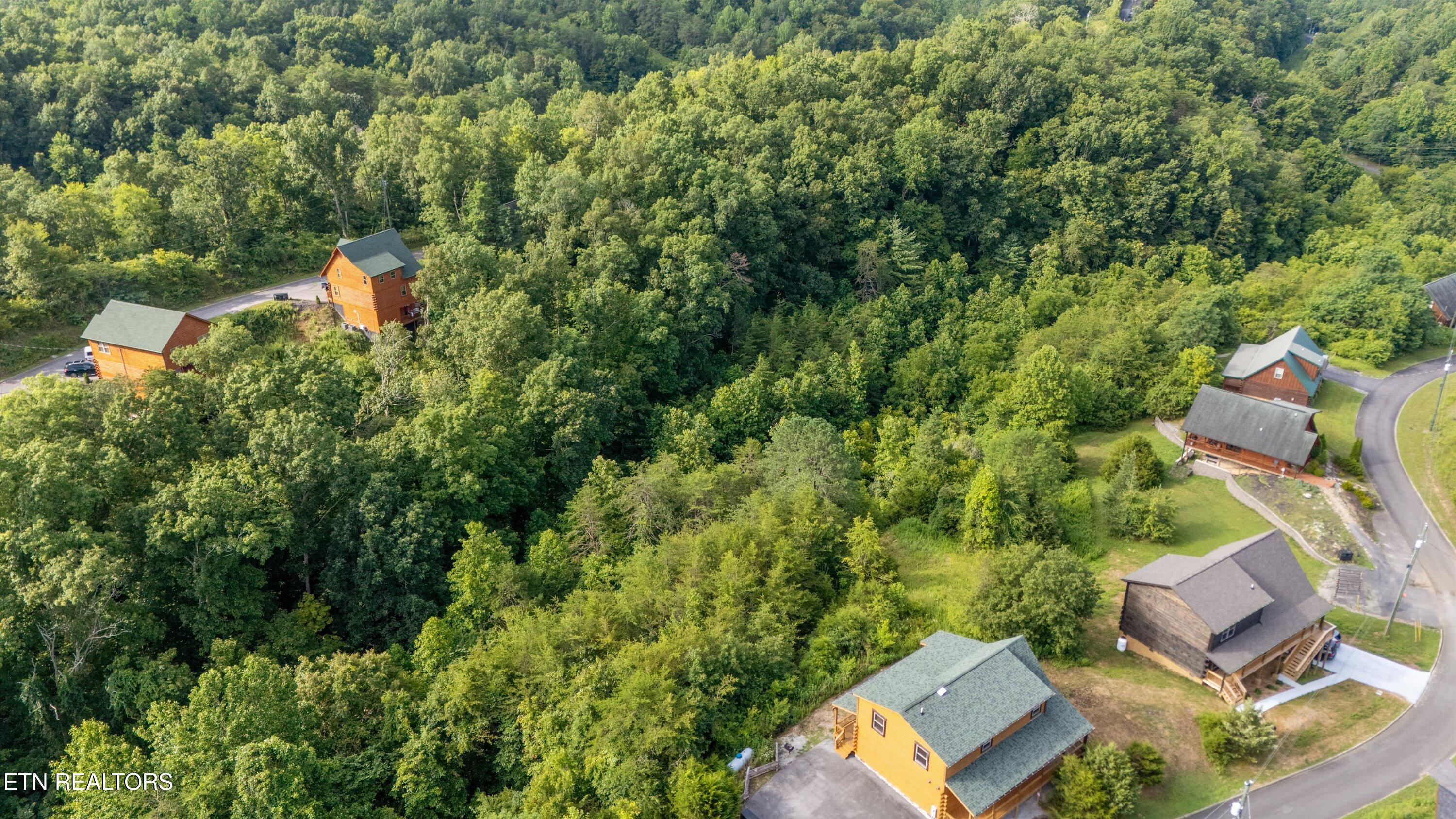 Wingspan Drive Sevierville TN 37862