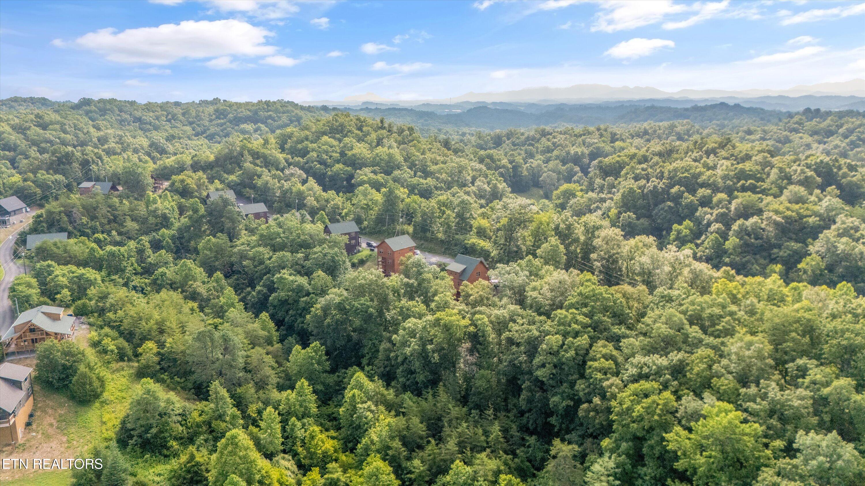 Wingspan Drive Sevierville TN 37862