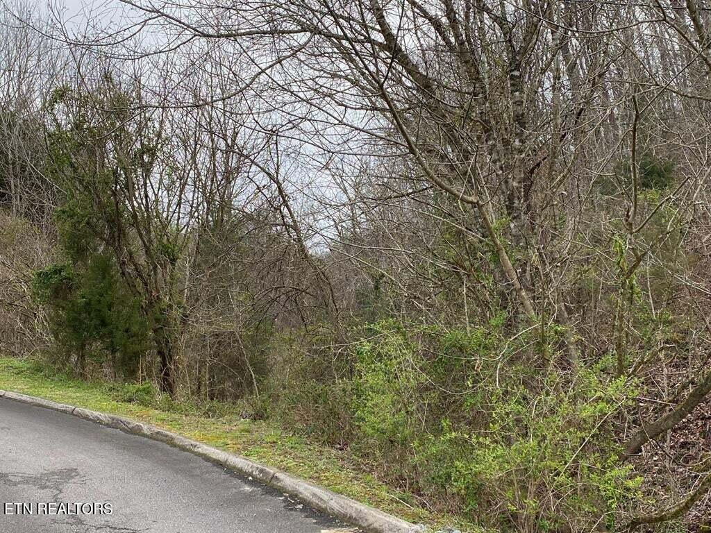 Wingspan Drive Sevierville TN 37862