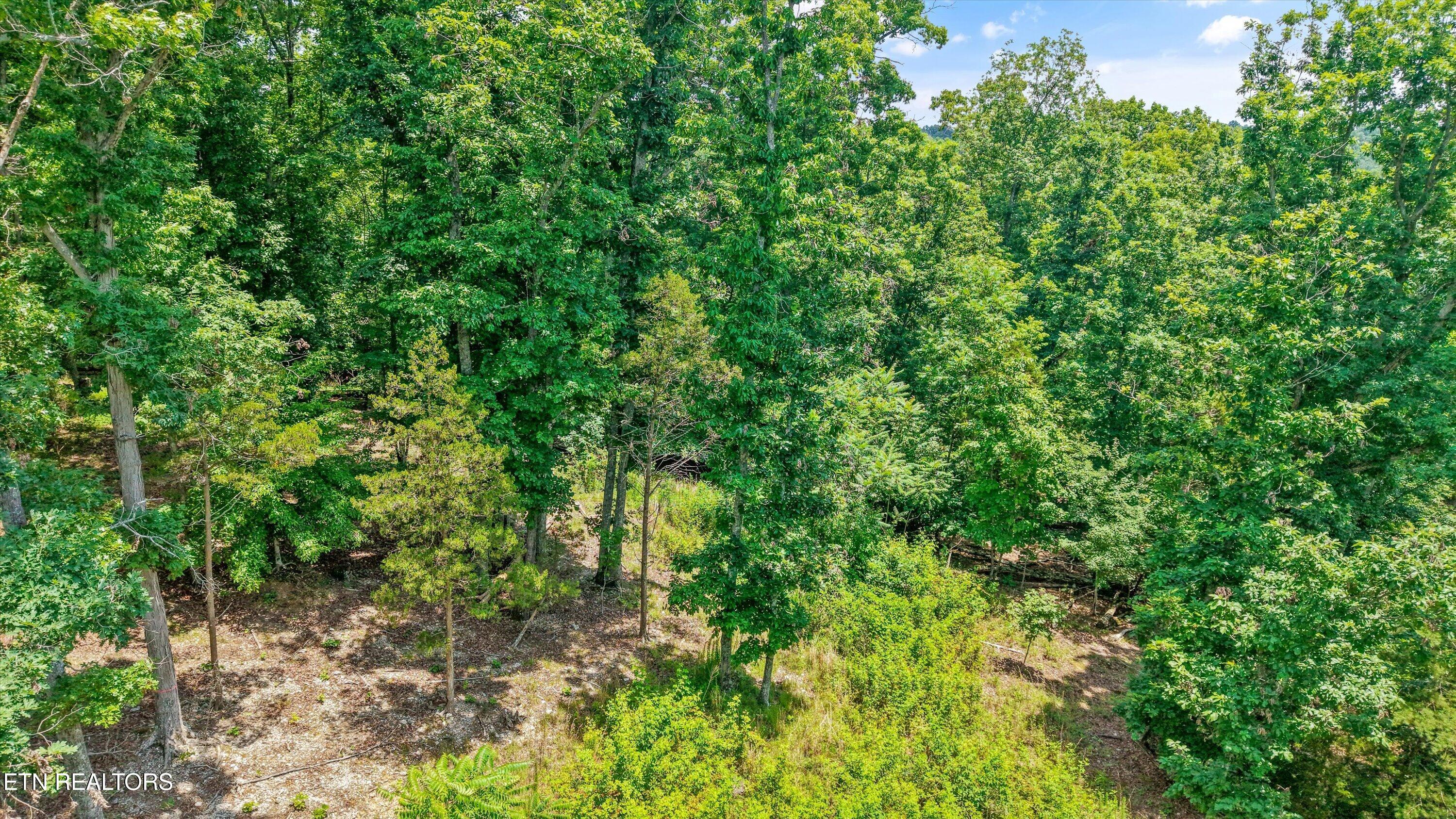 1499 Dogwood Valley Road Kingston TN 37763