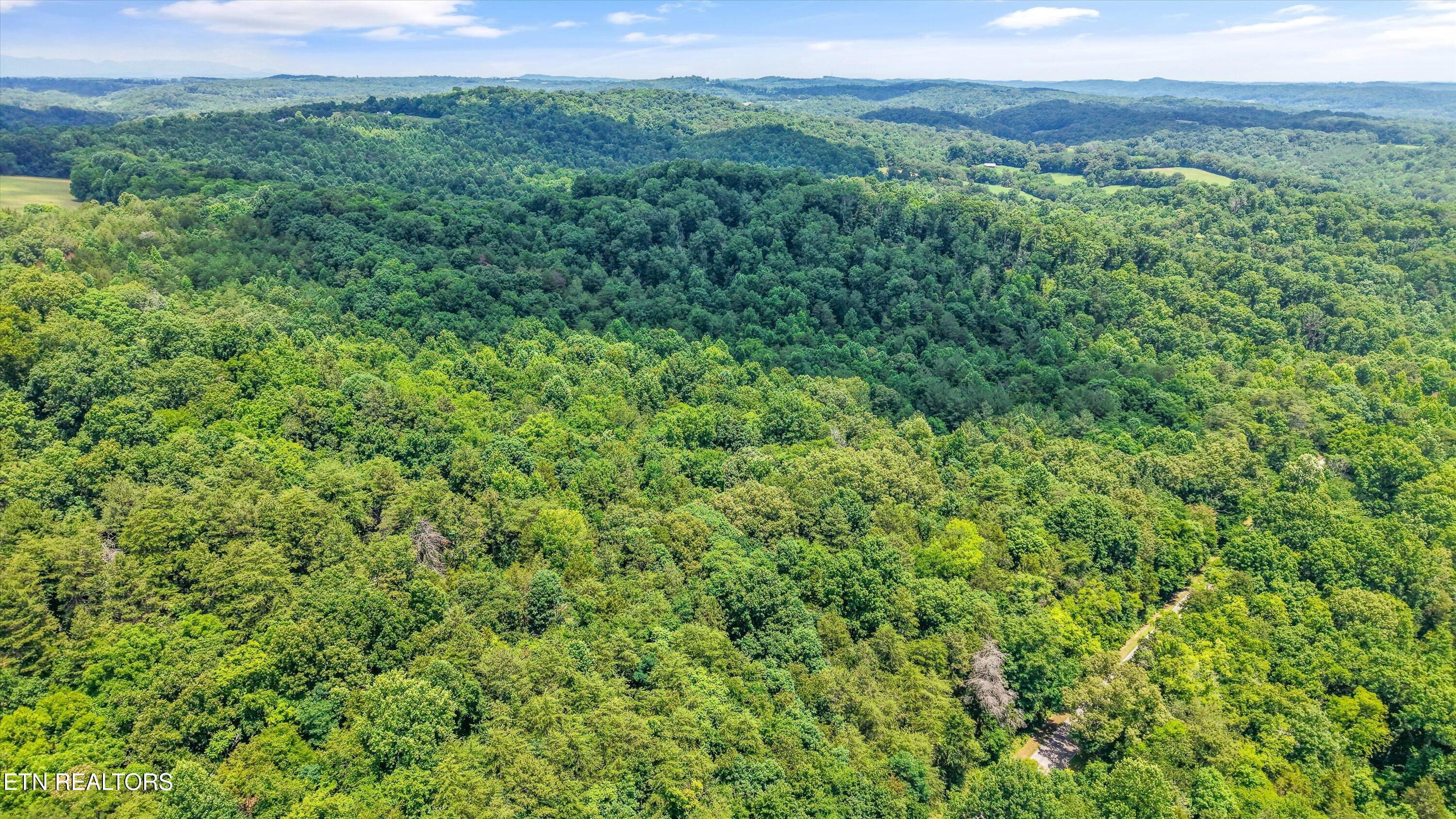 1499 Dogwood Valley Road Kingston TN 37763