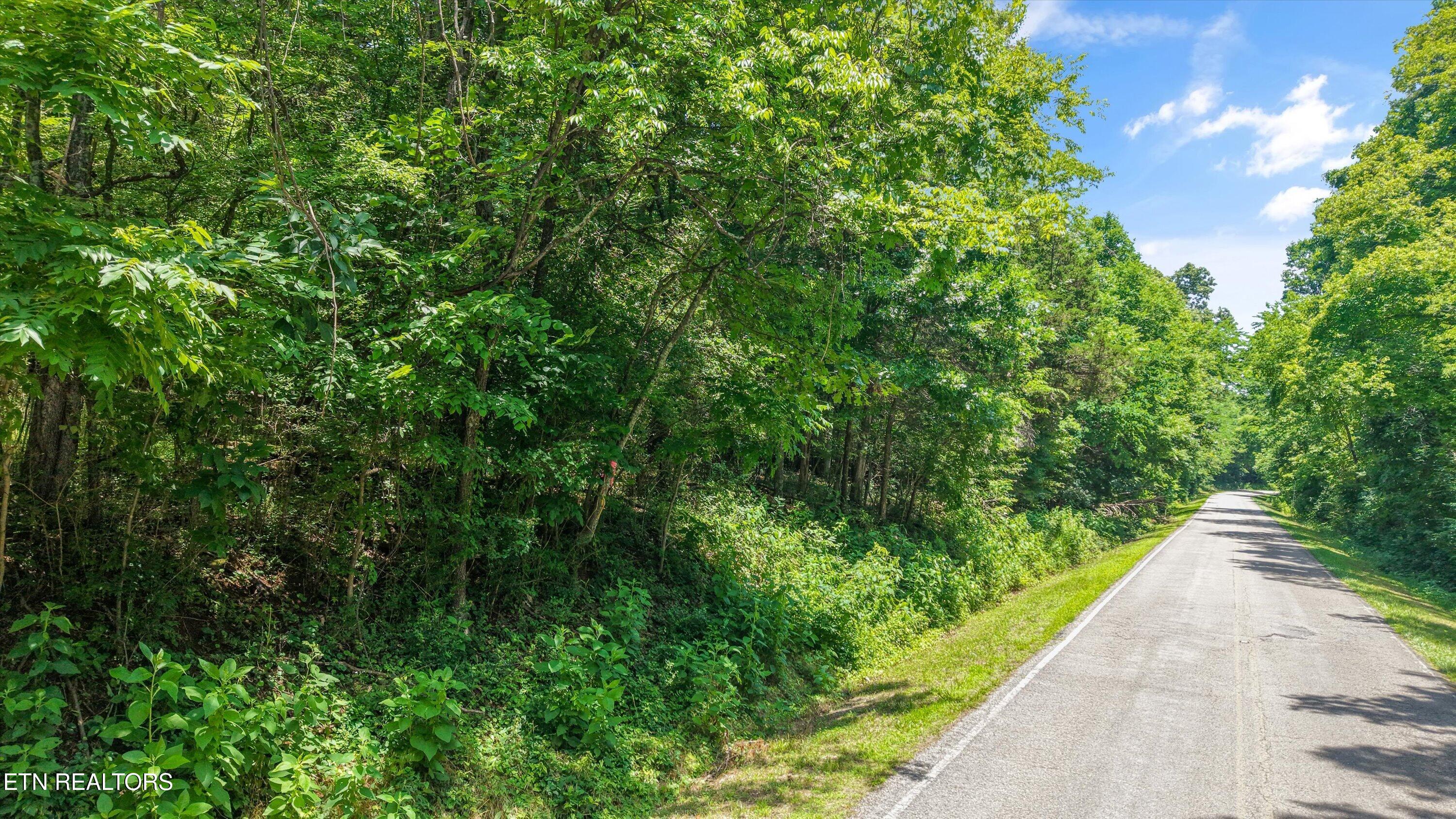 1499 Dogwood Valley Road Kingston TN 37763