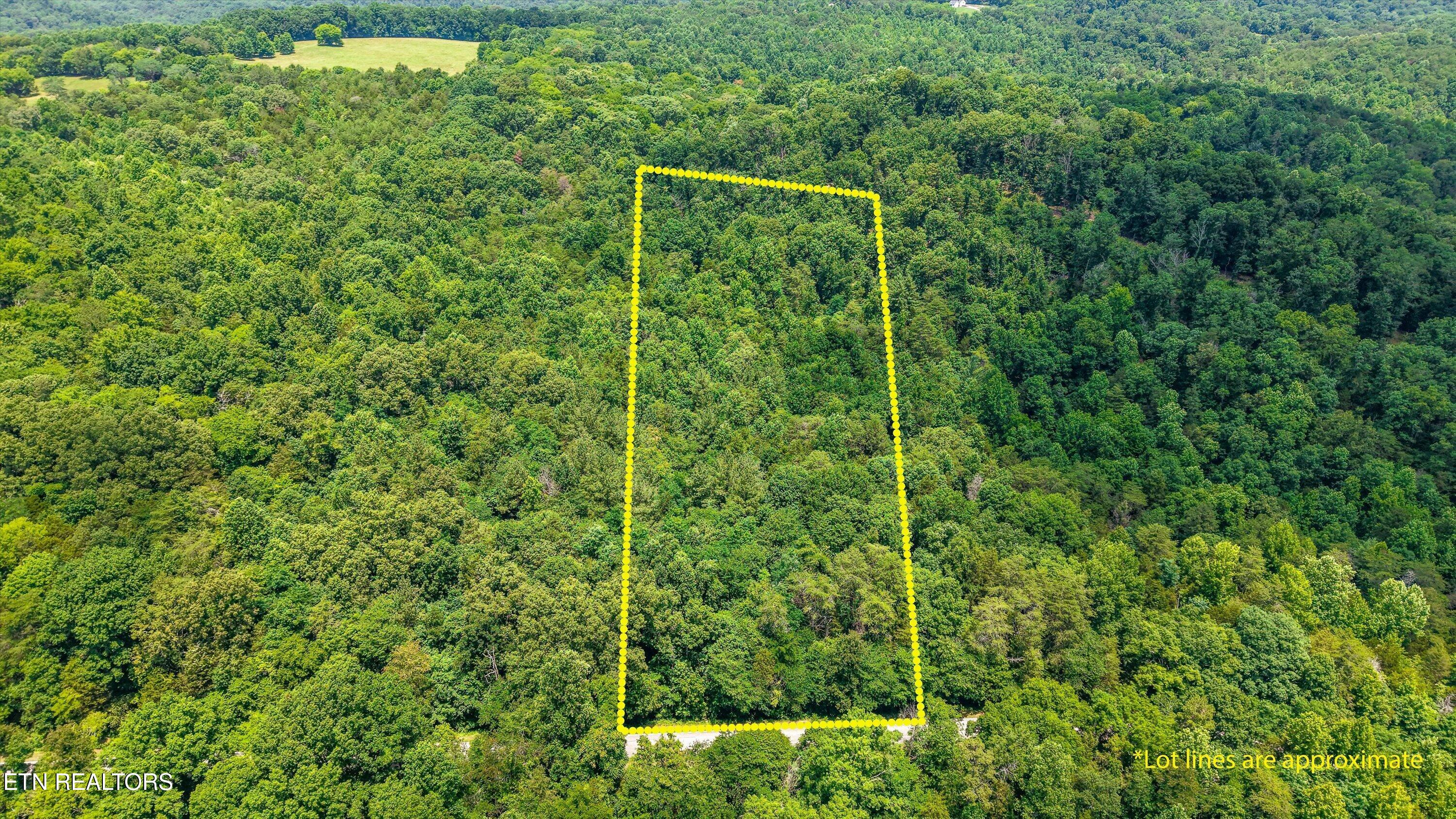 1499 Dogwood Valley Road Kingston TN 37763