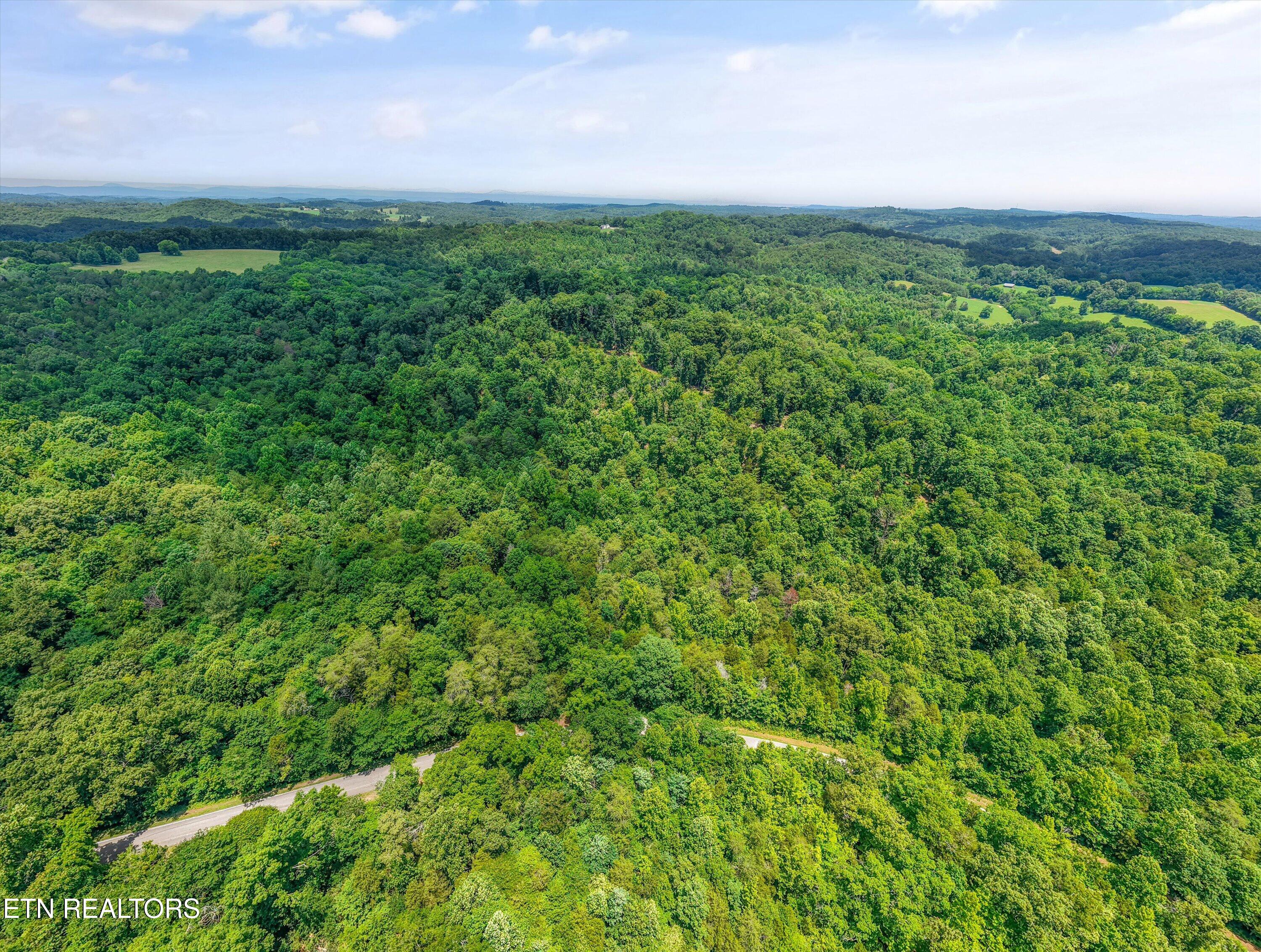 1499 Dogwood Valley Road Kingston TN 37763