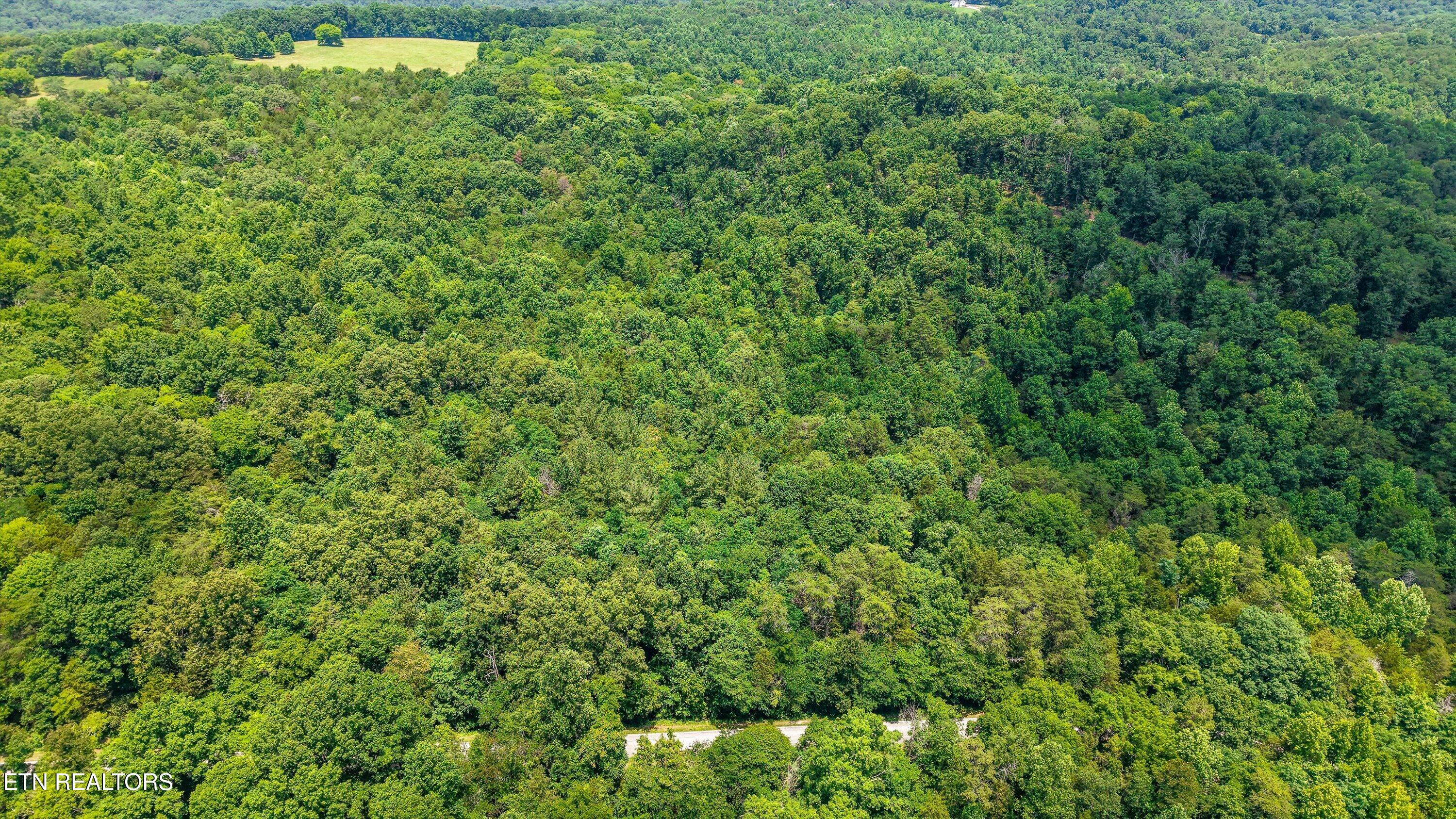 1499 Dogwood Valley Road Kingston TN 37763