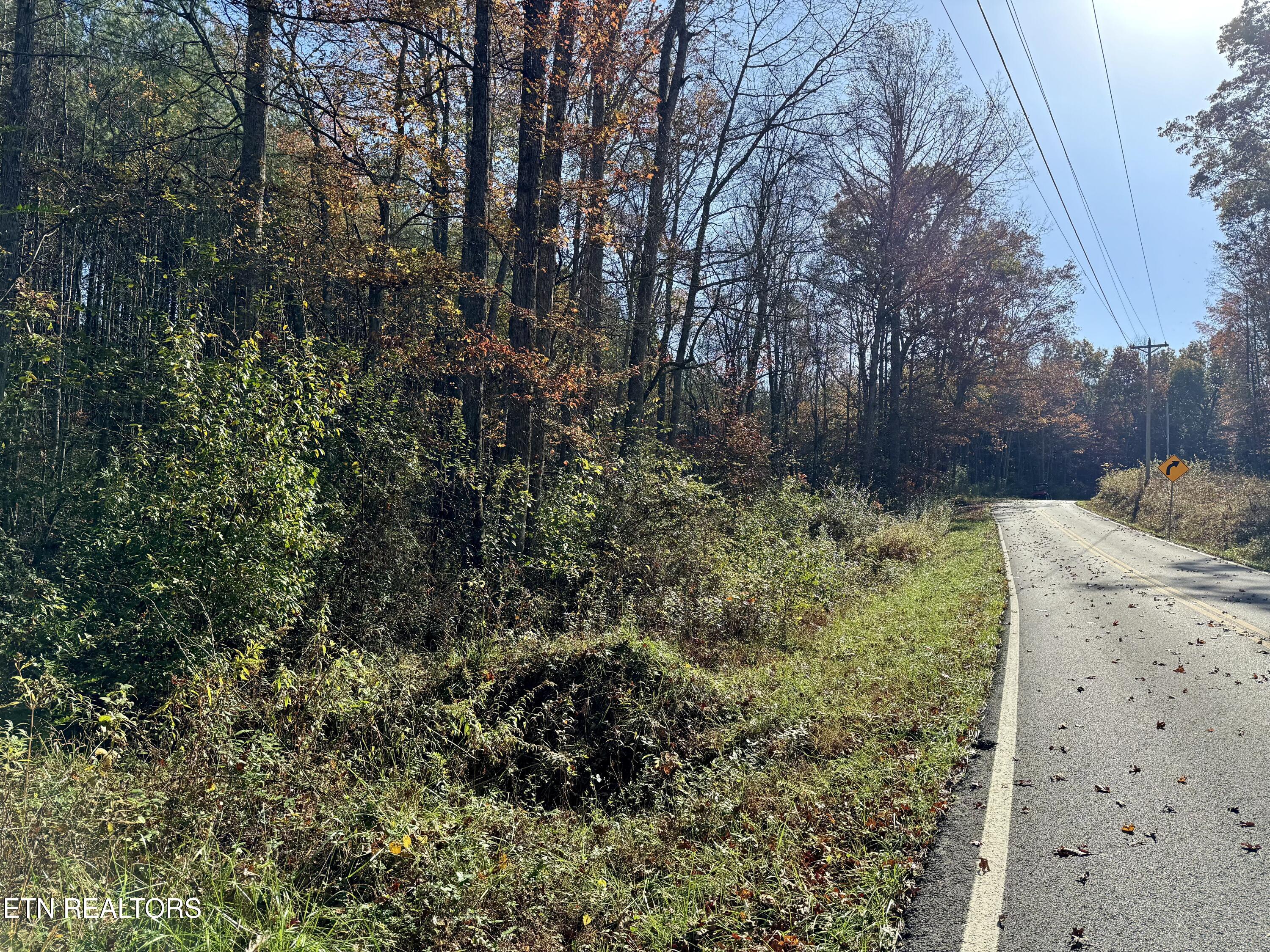 Lower Rockwood Road Lot 19 Rockwood TN 37854