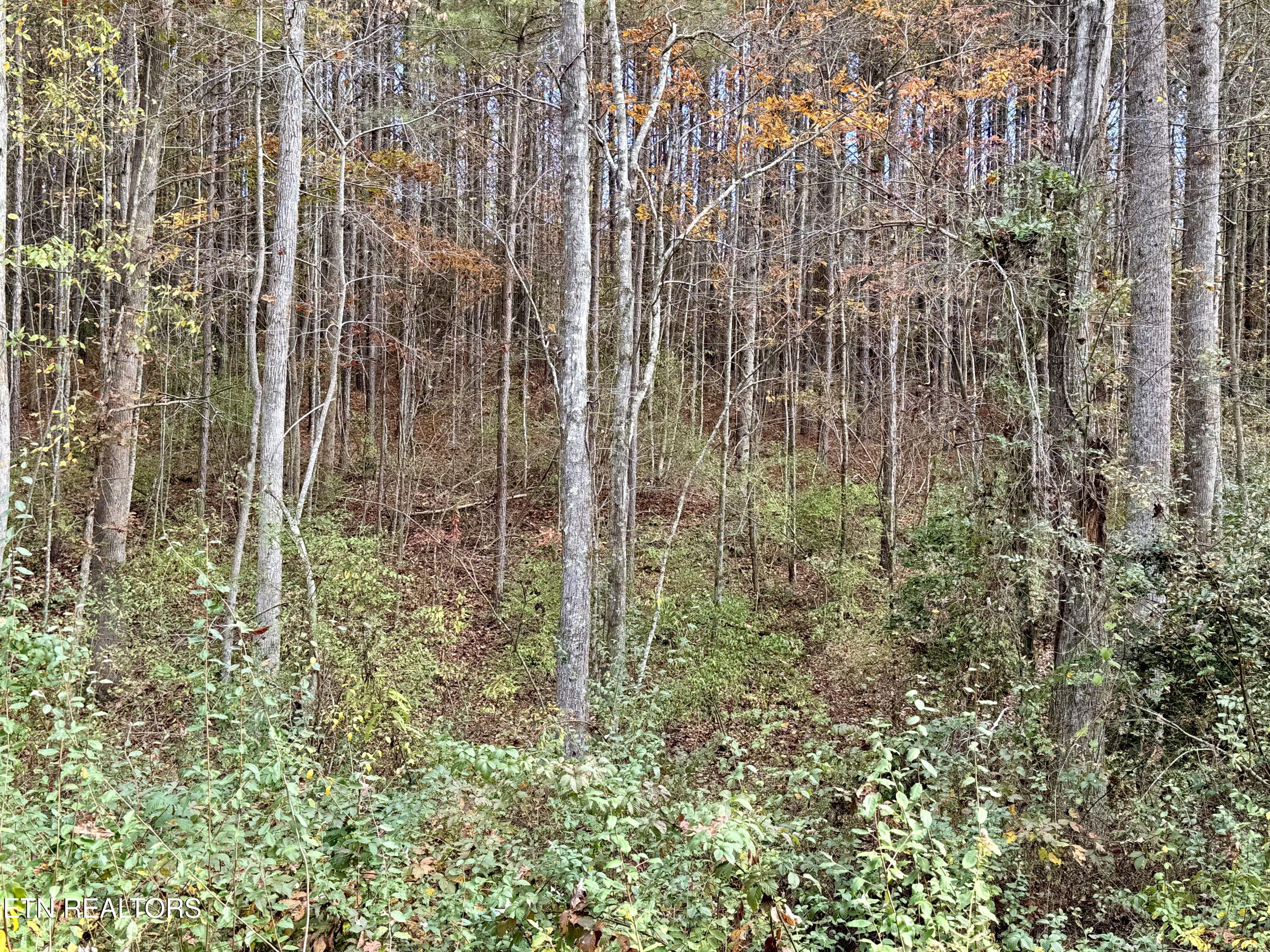 Lower Rockwood Road Lot 19 Rockwood TN 37854