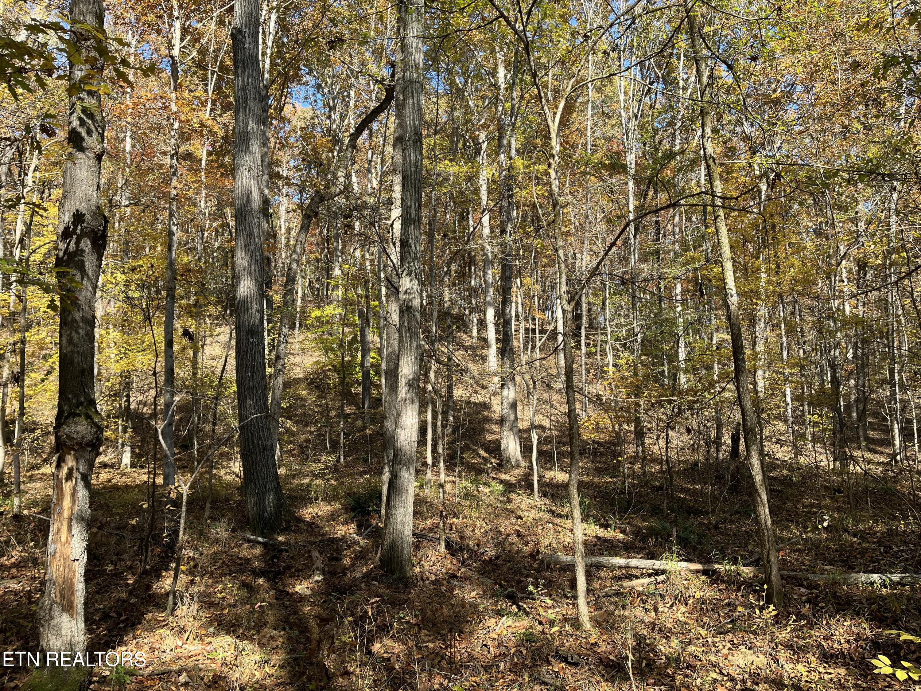 Simmons Branch Road Centerville TN 37033