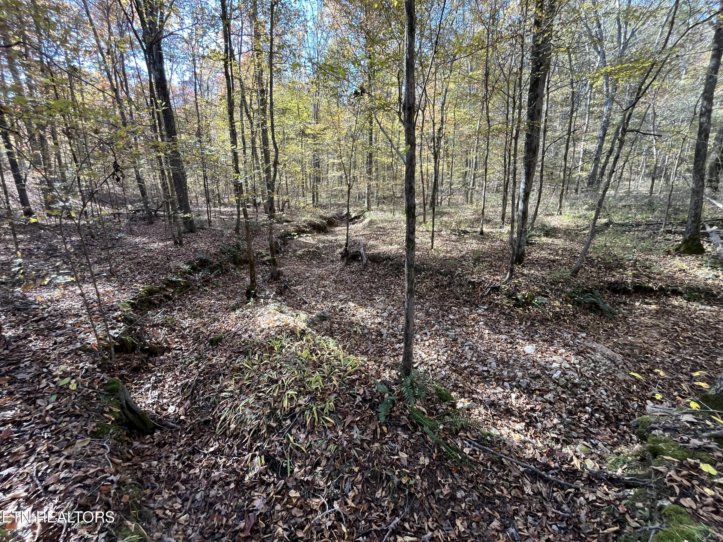 Simmons Branch Road Centerville TN 37033