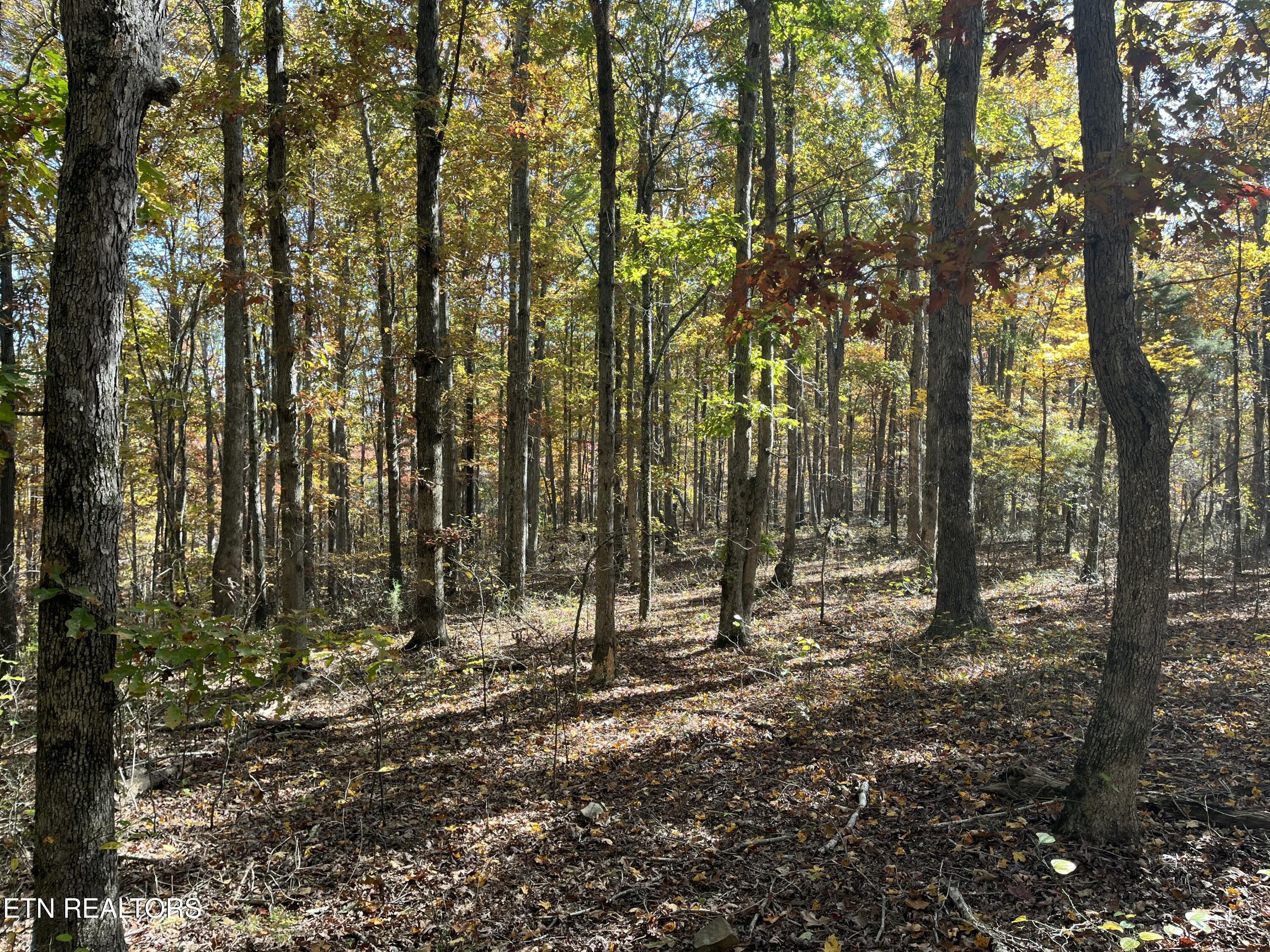 Simmons Branch Road Centerville TN 37033
