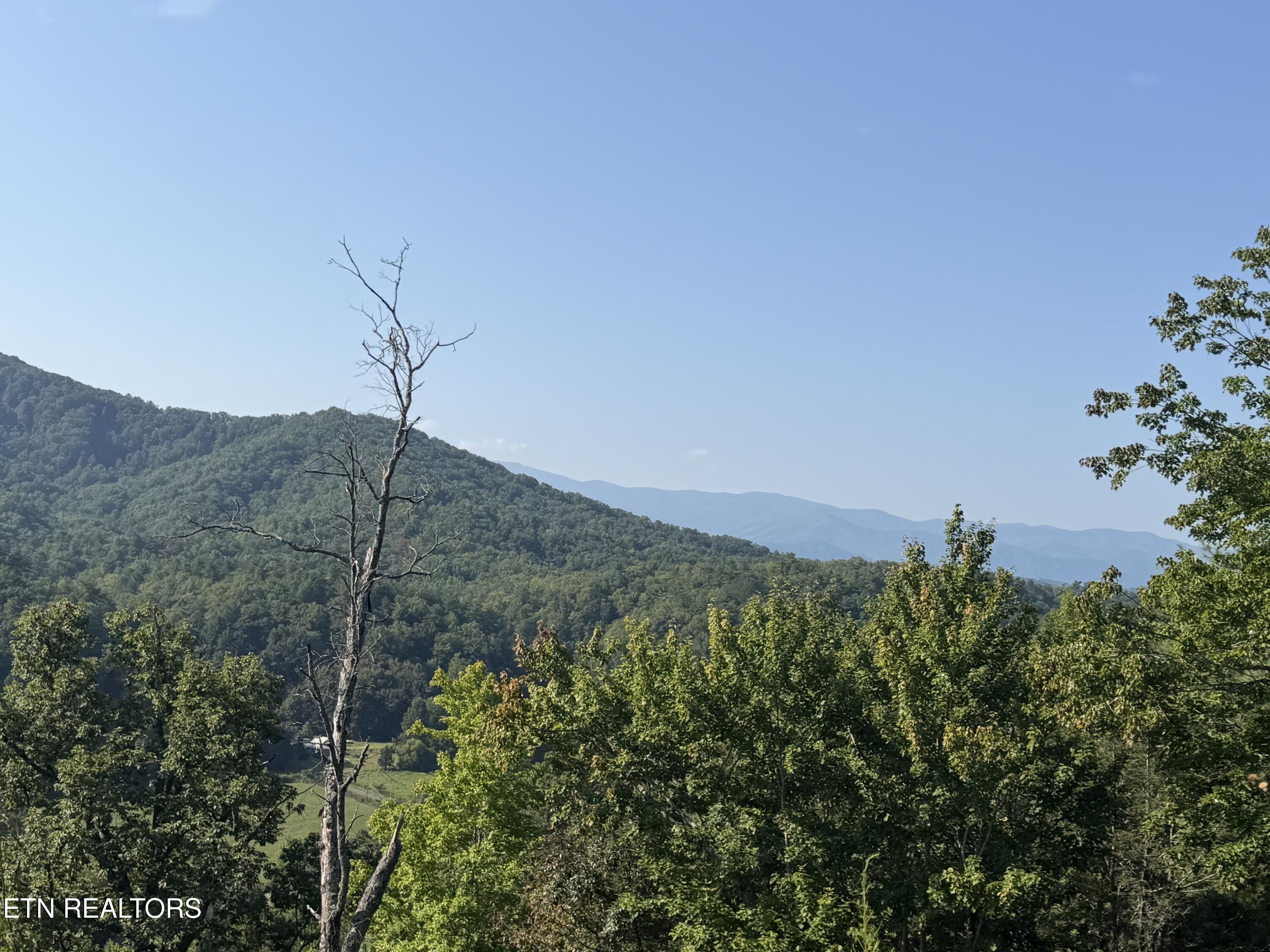 4228 Wears Valley Road Sevierville TN 37862