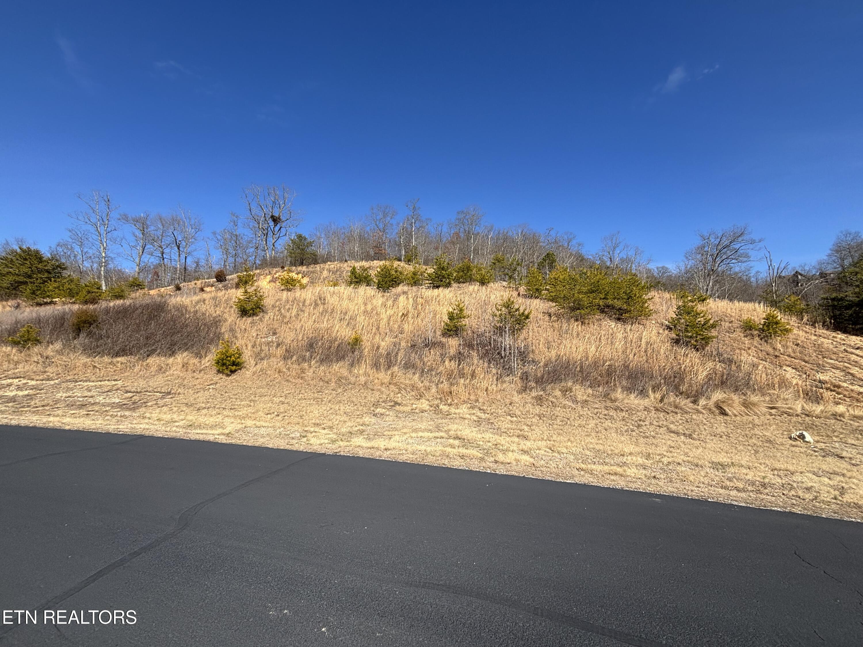 W Mountain Drive Rockwood TN 37854