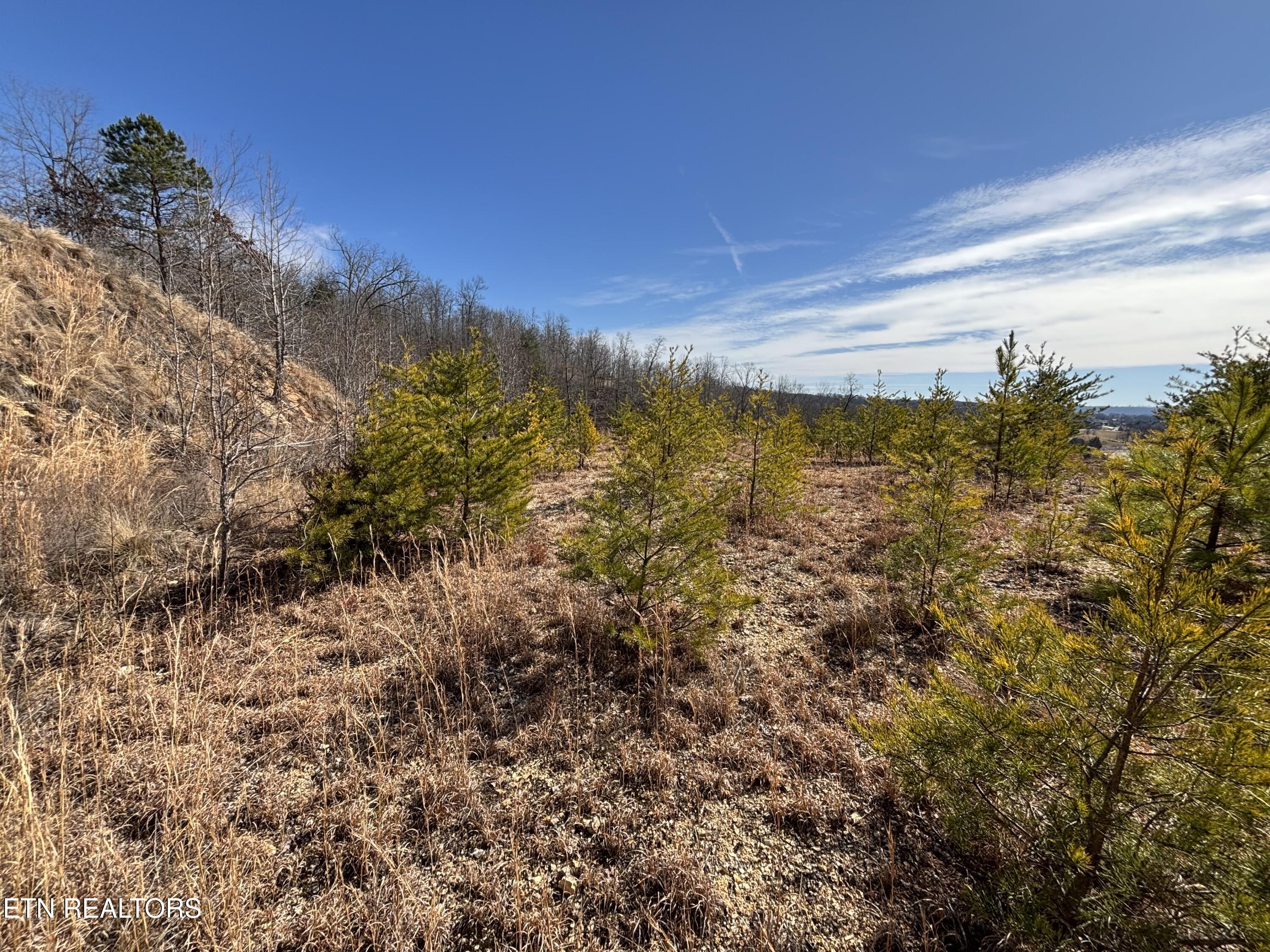 W Mountain Drive Rockwood TN 37854