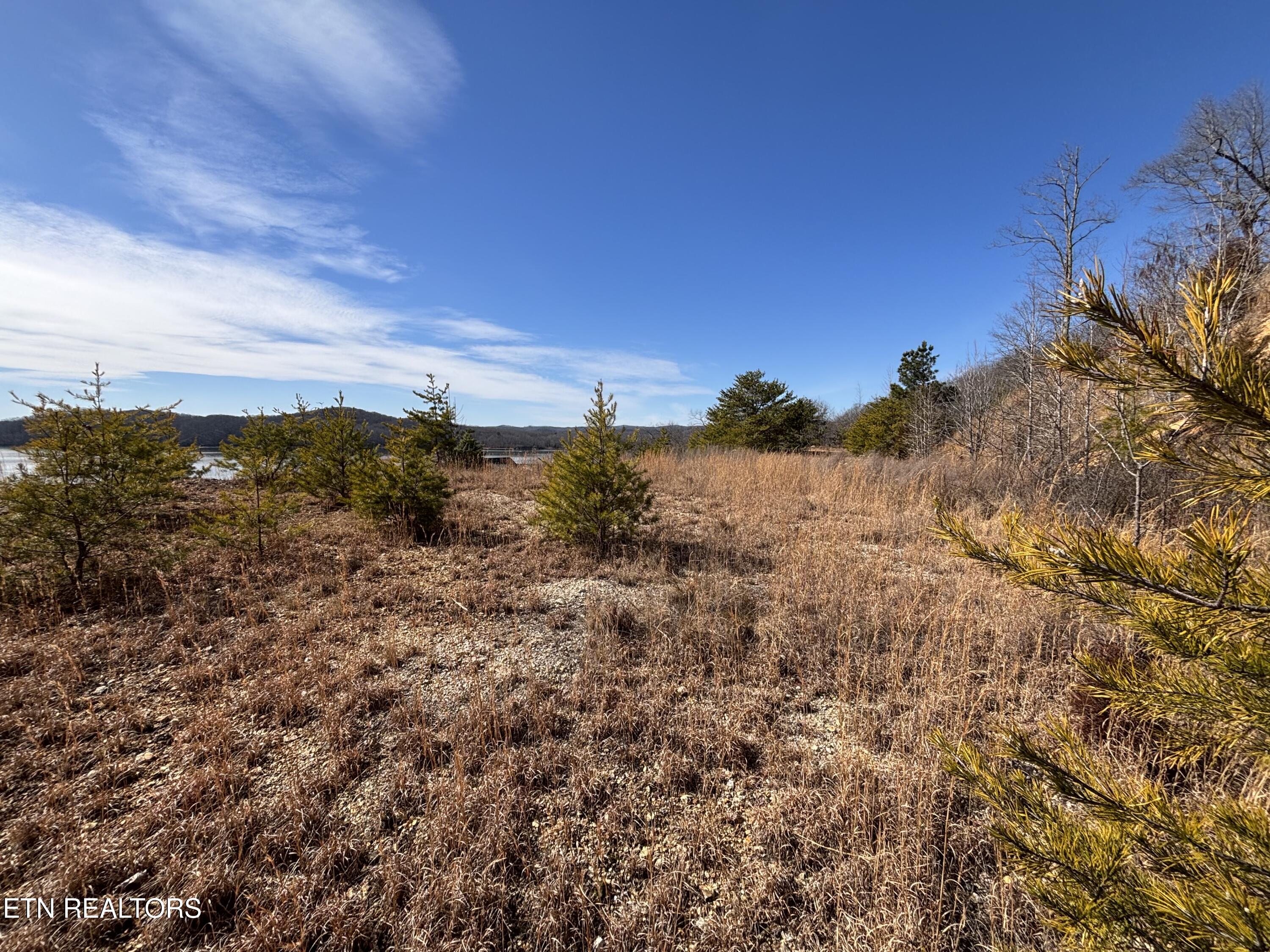 W Mountain Drive Rockwood TN 37854
