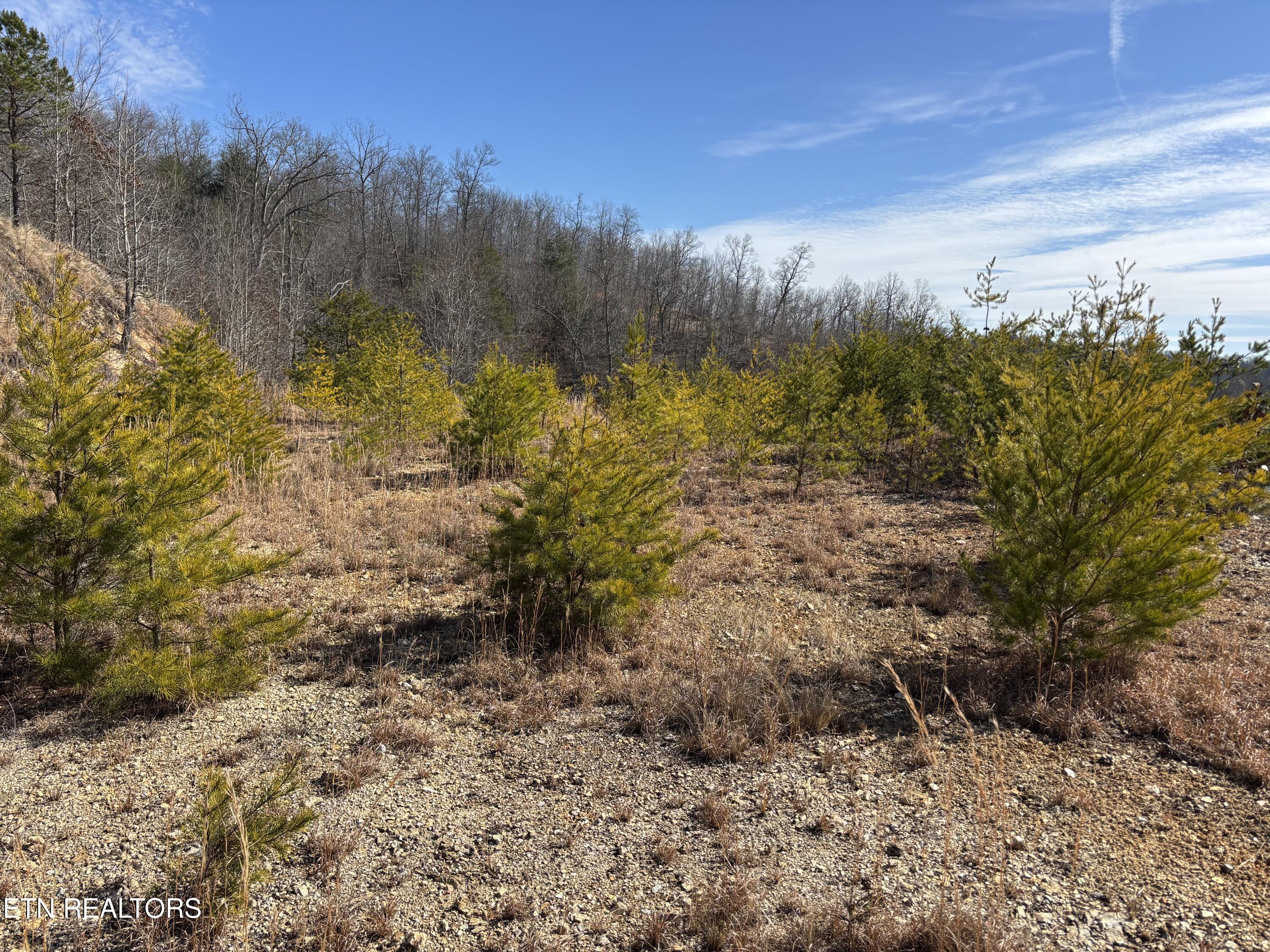 W Mountain Drive Rockwood TN 37854