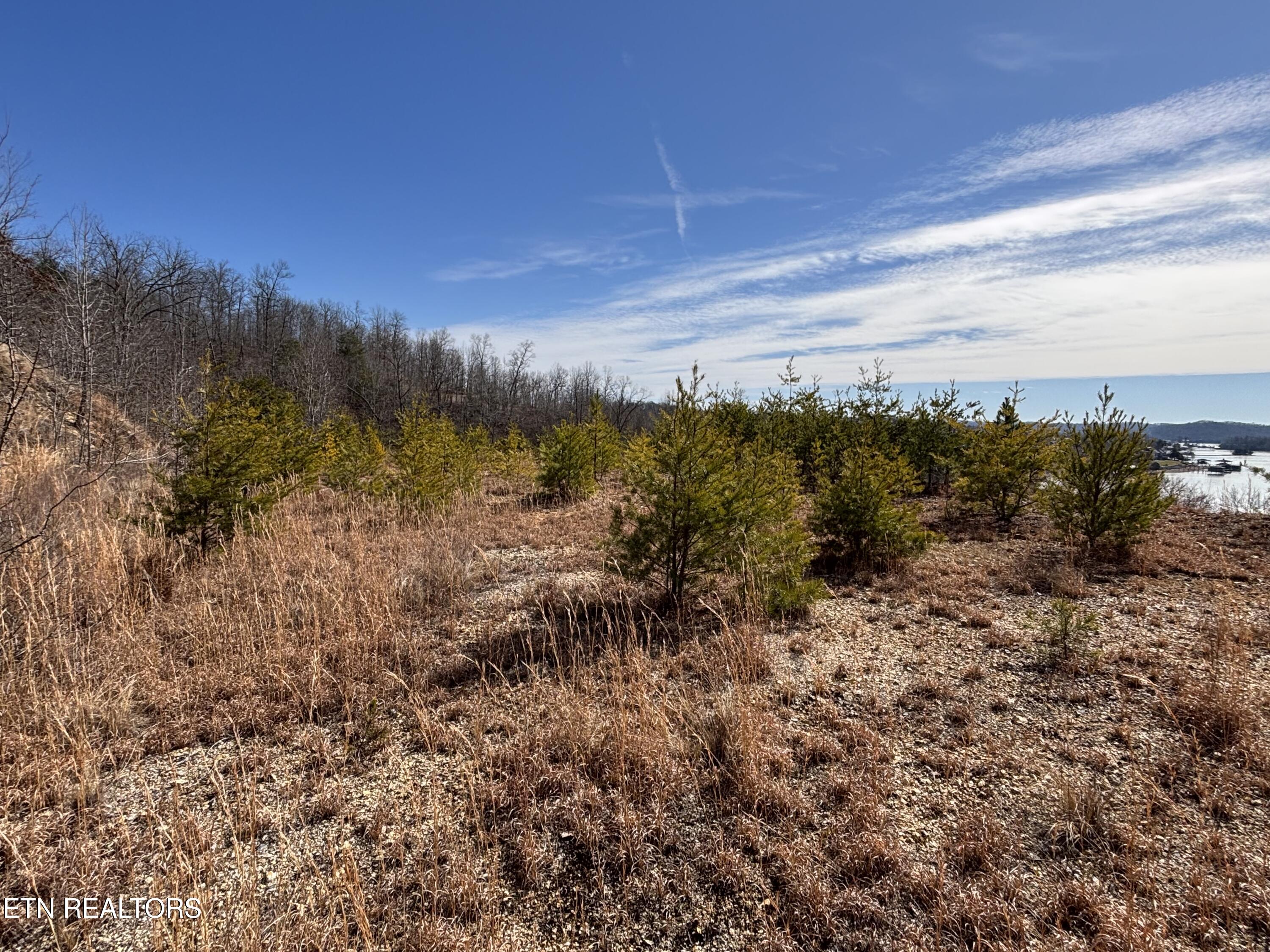 W Mountain Drive Rockwood TN 37854