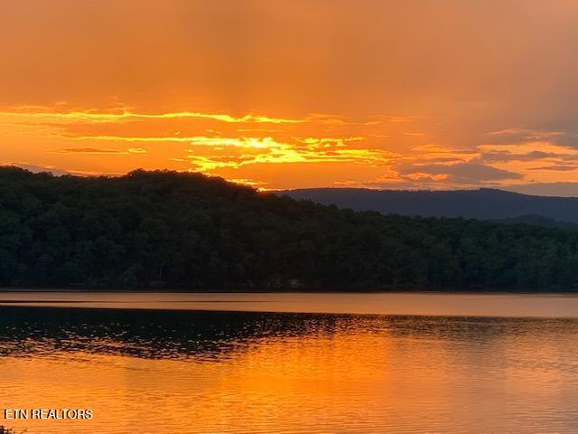 W Mountain Drive Rockwood TN 37854