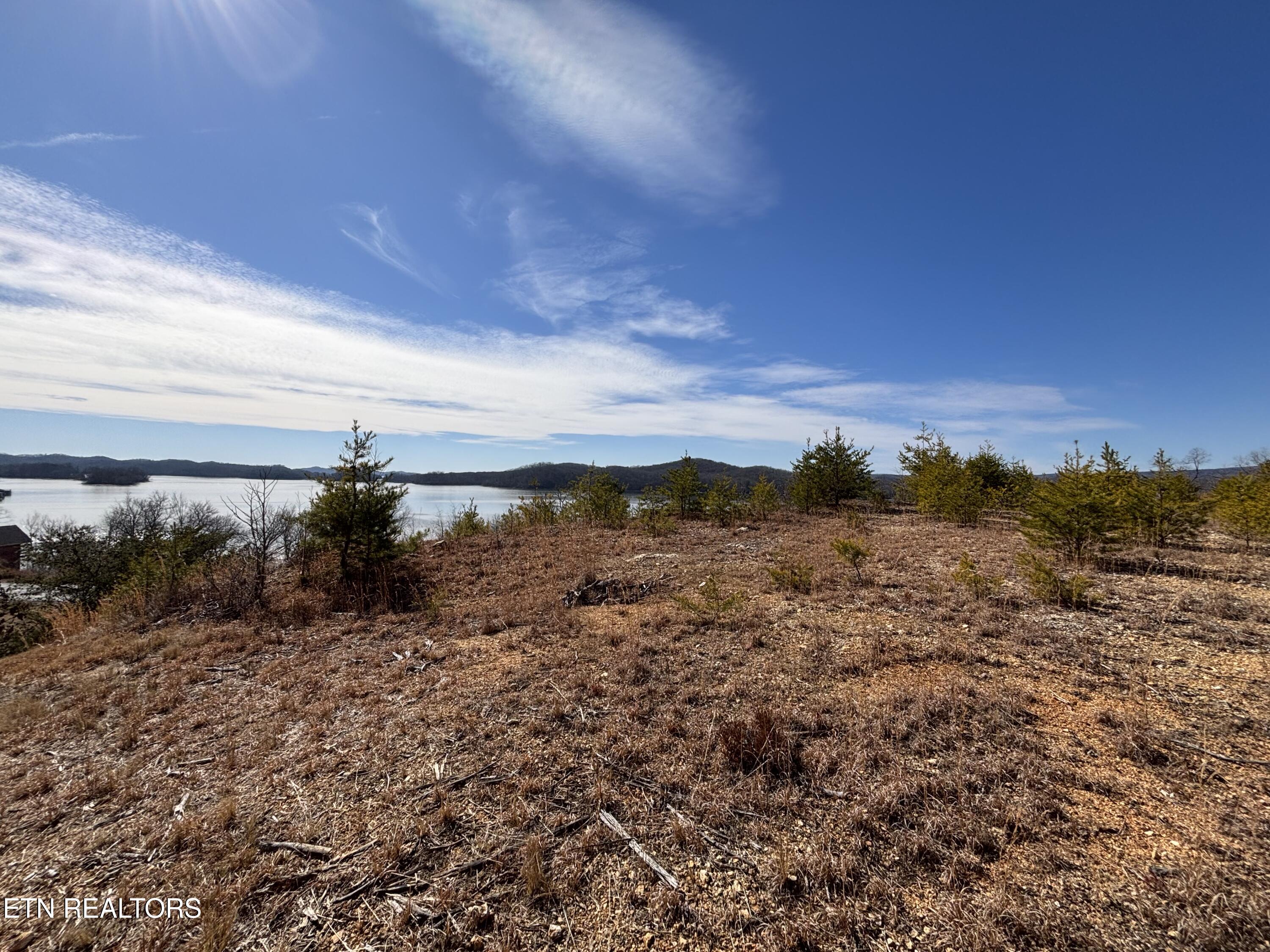 W Mountain Drive Rockwood TN 37854