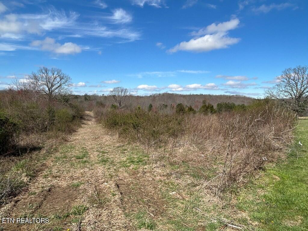 Holt Spur Drive Jamestown TN 38556