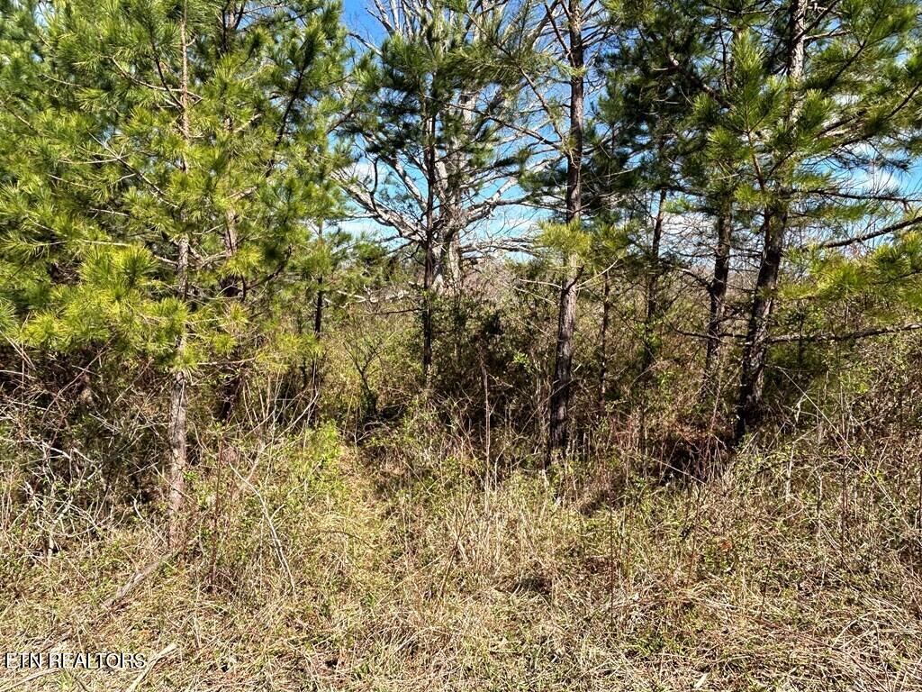 Holt Spur Drive Jamestown TN 38556