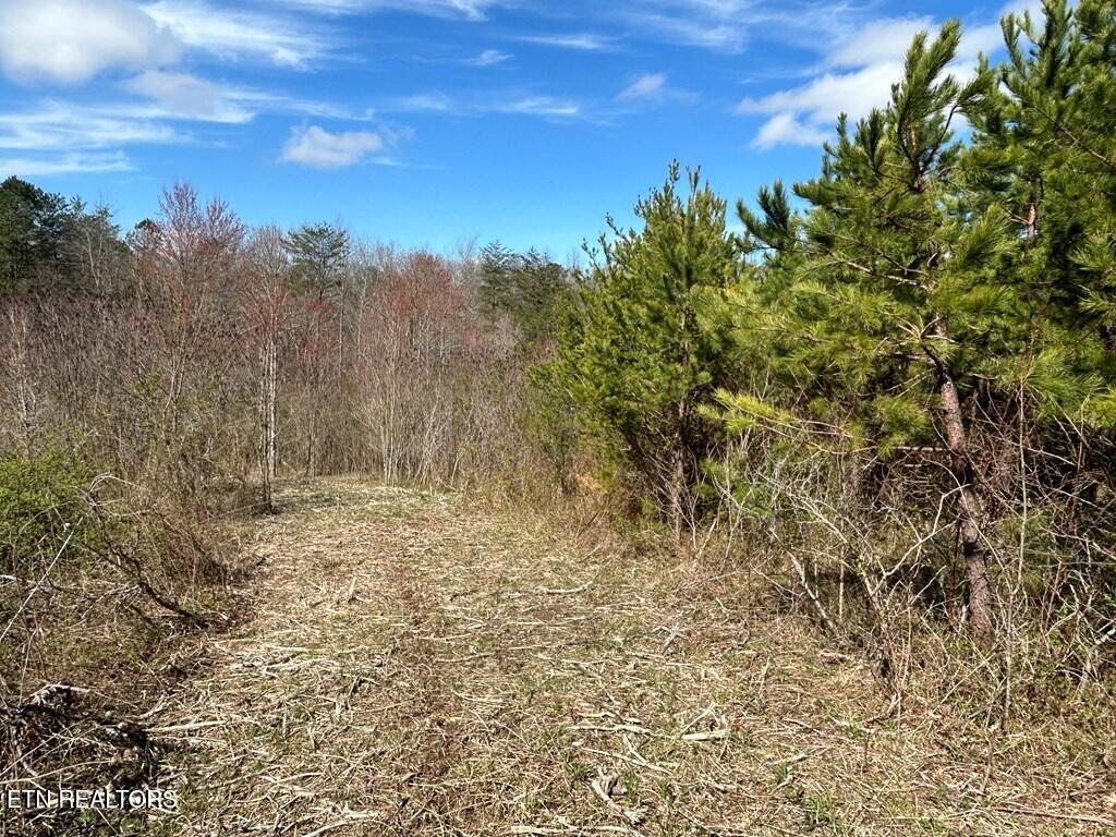Holt Spur Drive Jamestown TN 38556