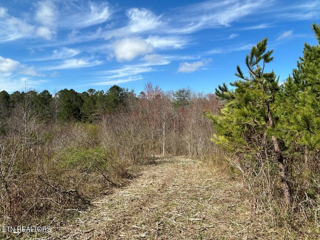 Holt Spur Drive Jamestown TN 38556