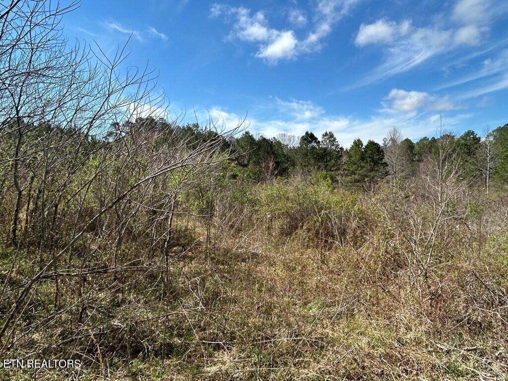 Holt Spur Drive Jamestown TN 38556