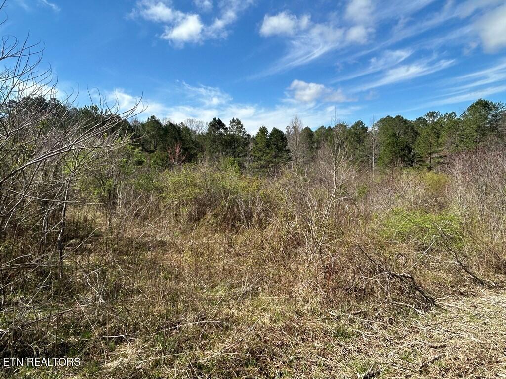 Holt Spur Drive Jamestown TN 38556