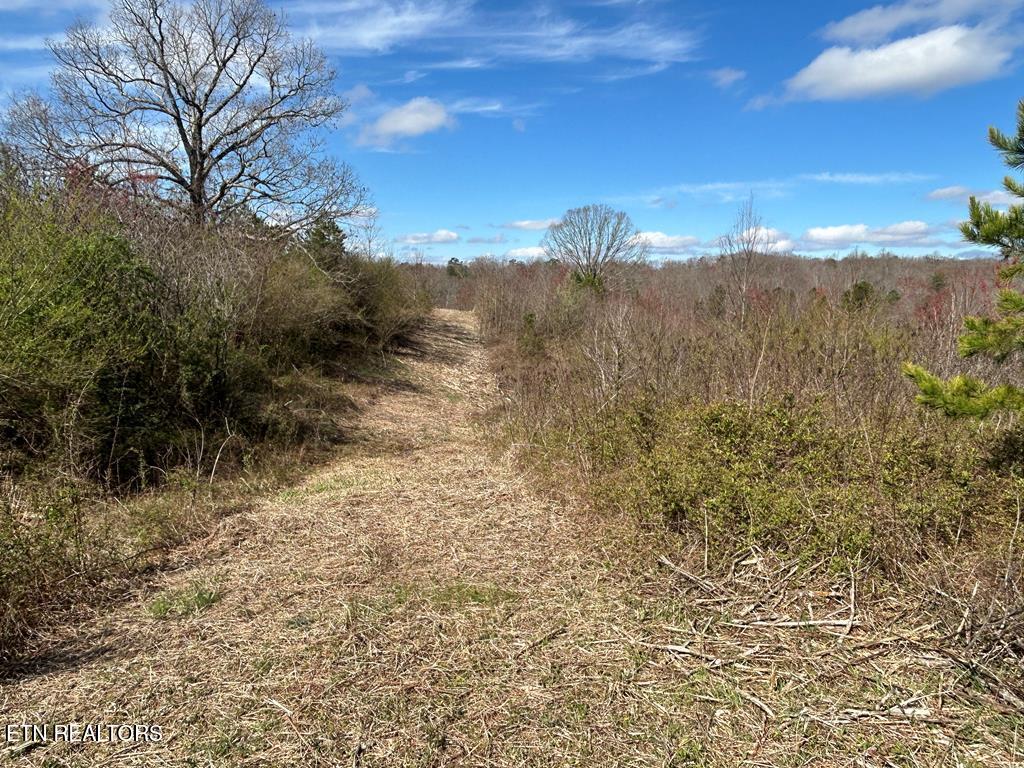 Holt Spur Drive Jamestown TN 38556