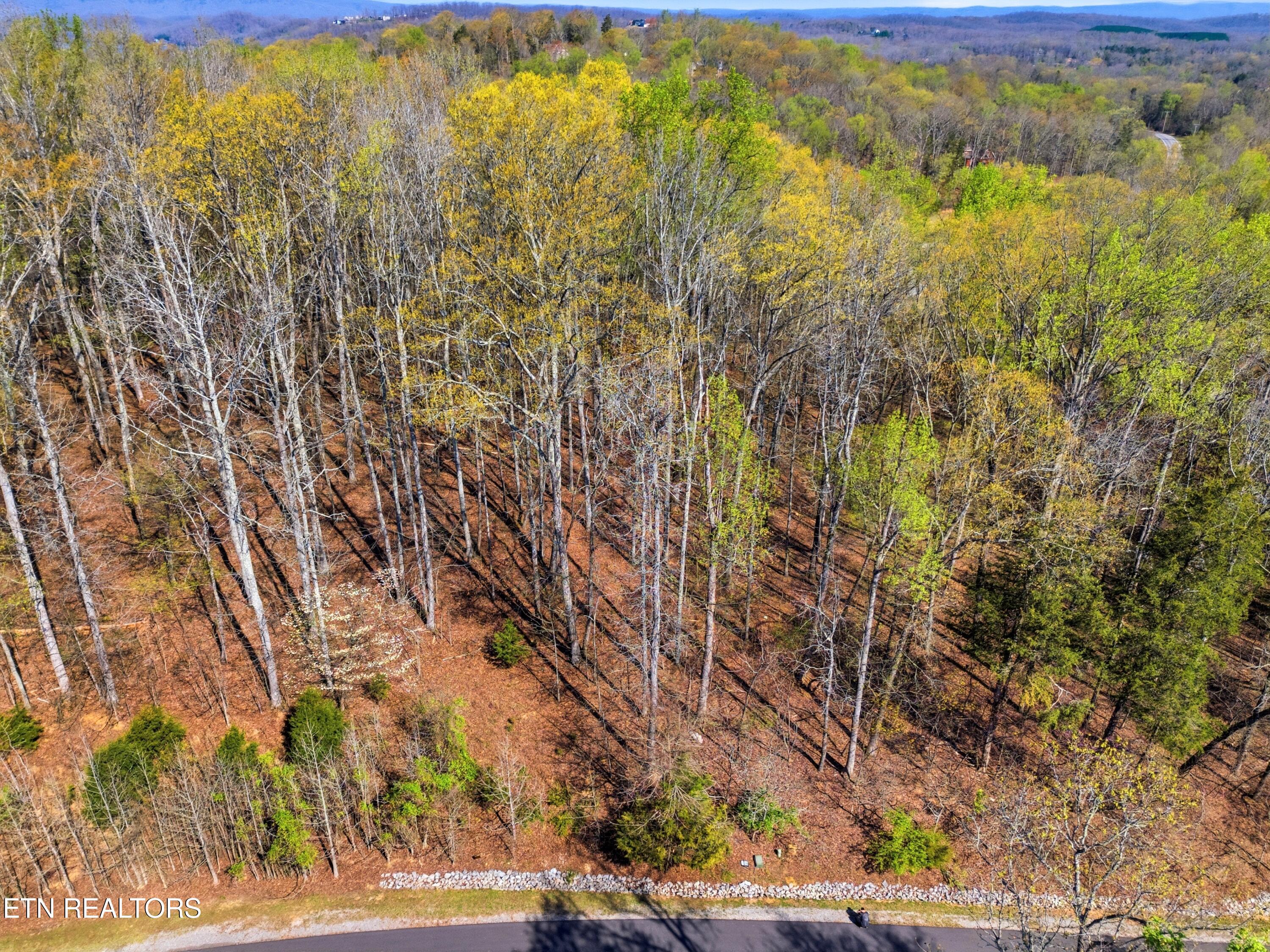 Lot 141 E Shore Drive Rockwood TN 37854