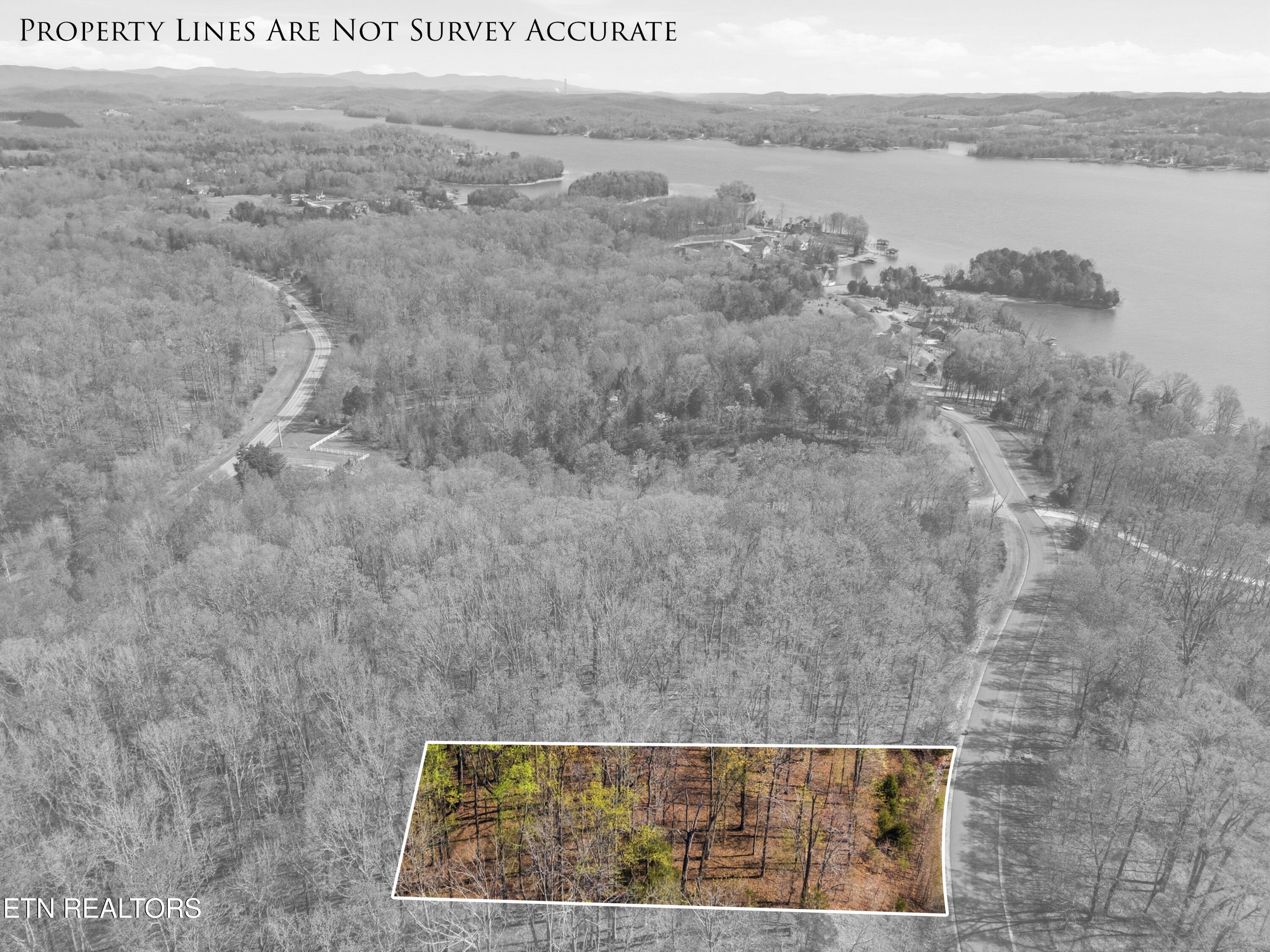 Lot 141 E Shore Drive Rockwood TN 37854