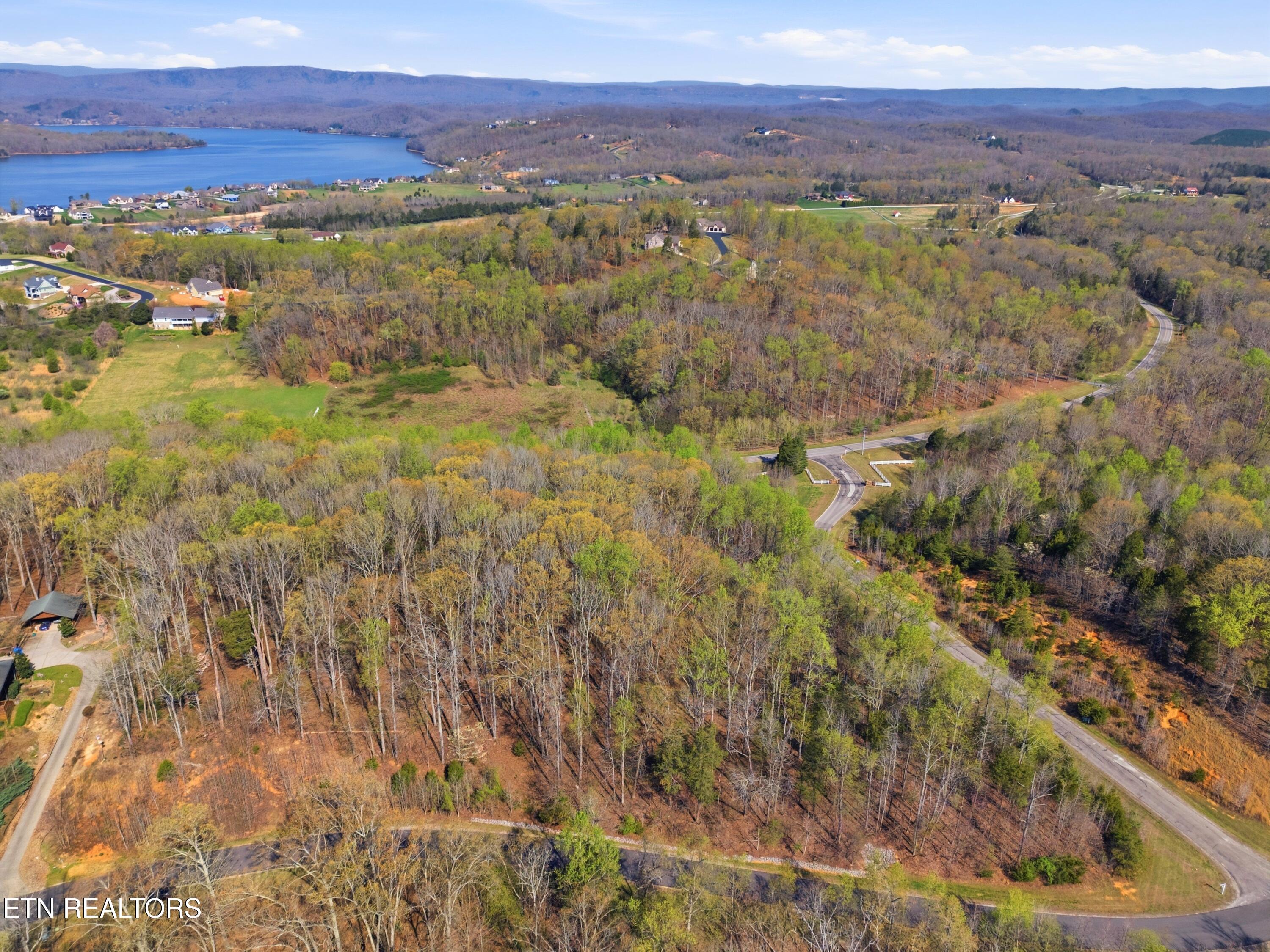 Lot 141 E Shore Drive Rockwood TN 37854