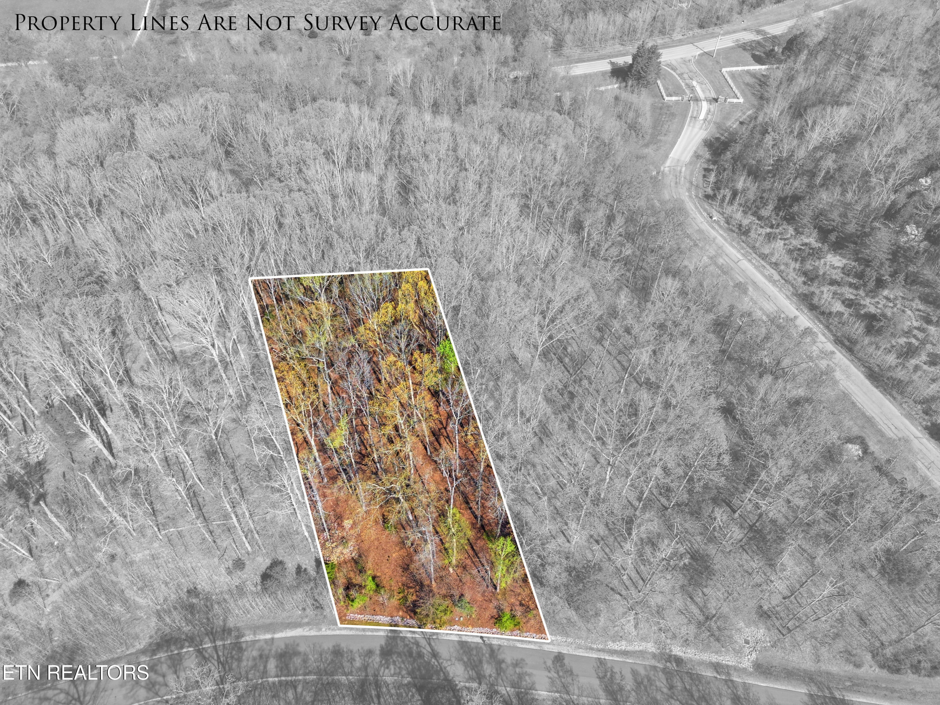 Lot 141 E Shore Drive Rockwood TN 37854