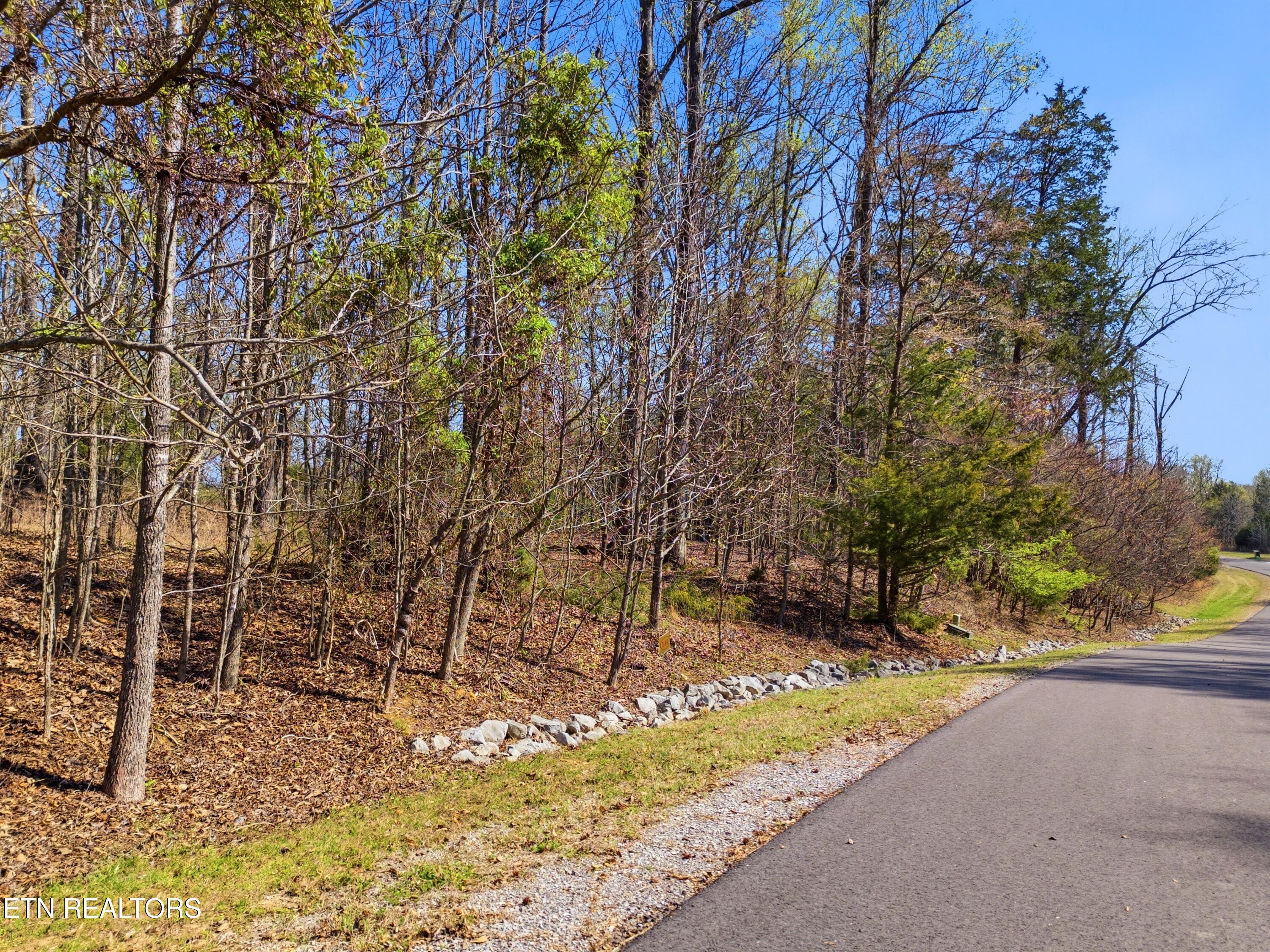 Lot 141 E Shore Drive Rockwood TN 37854
