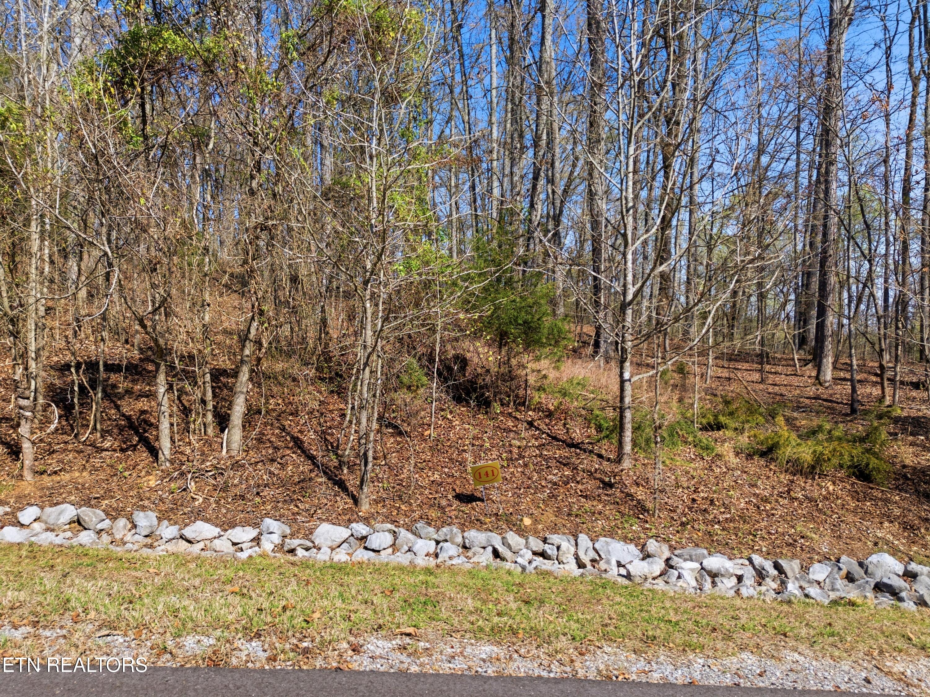 Lot 141 E Shore Drive Rockwood TN 37854