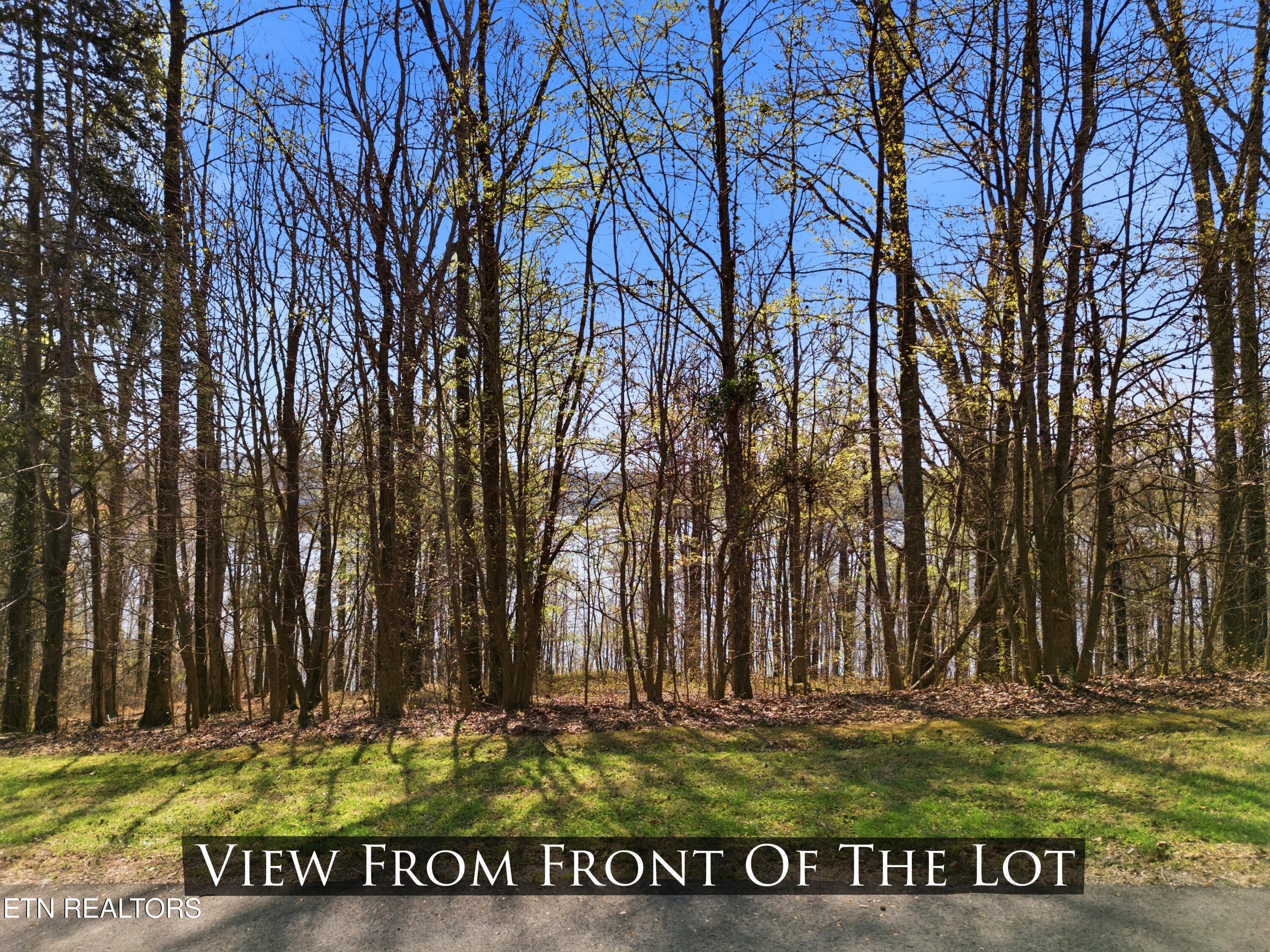 Lot 141 E Shore Drive Rockwood TN 37854