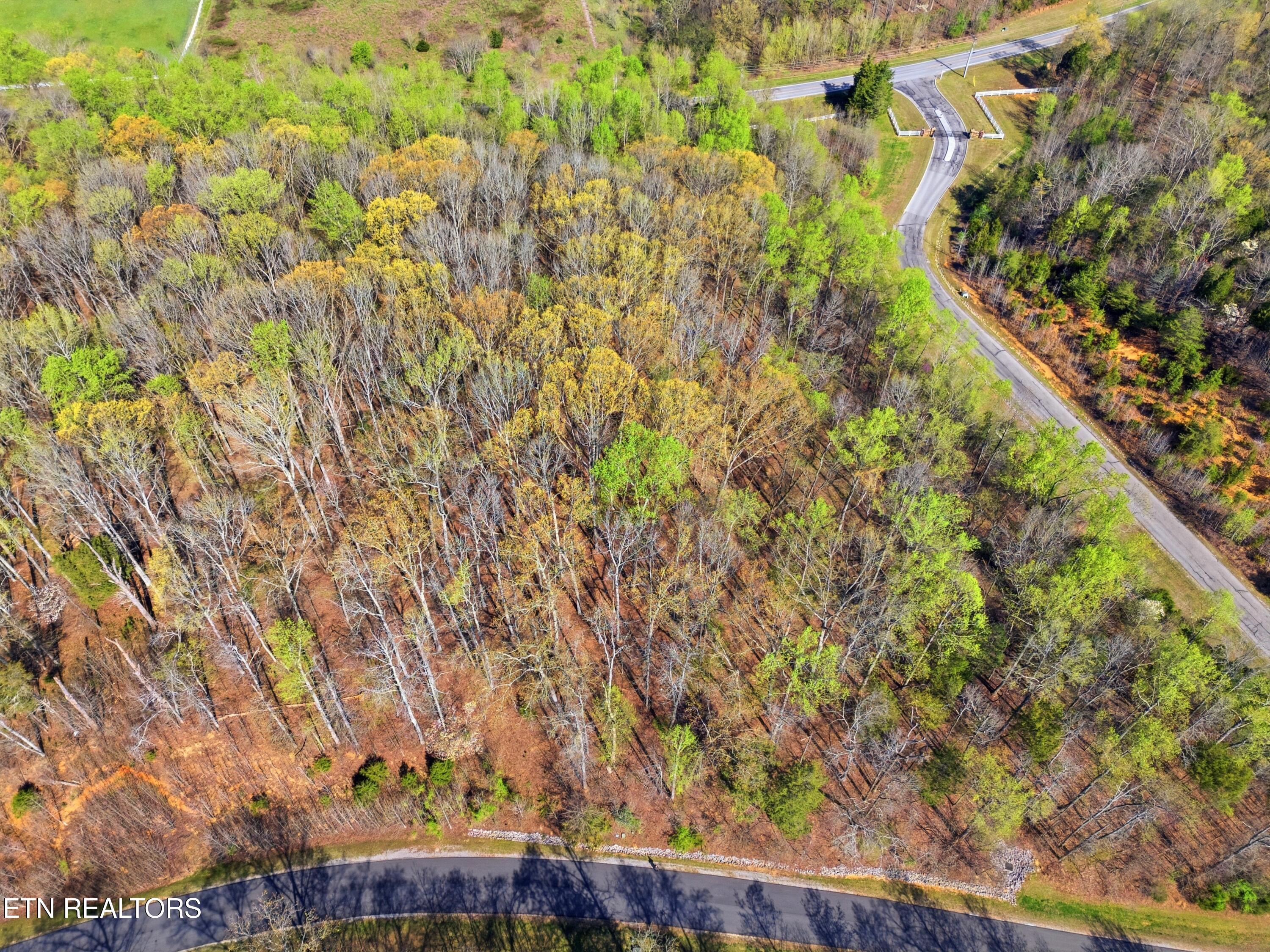 Lot 141 E Shore Drive Rockwood TN 37854