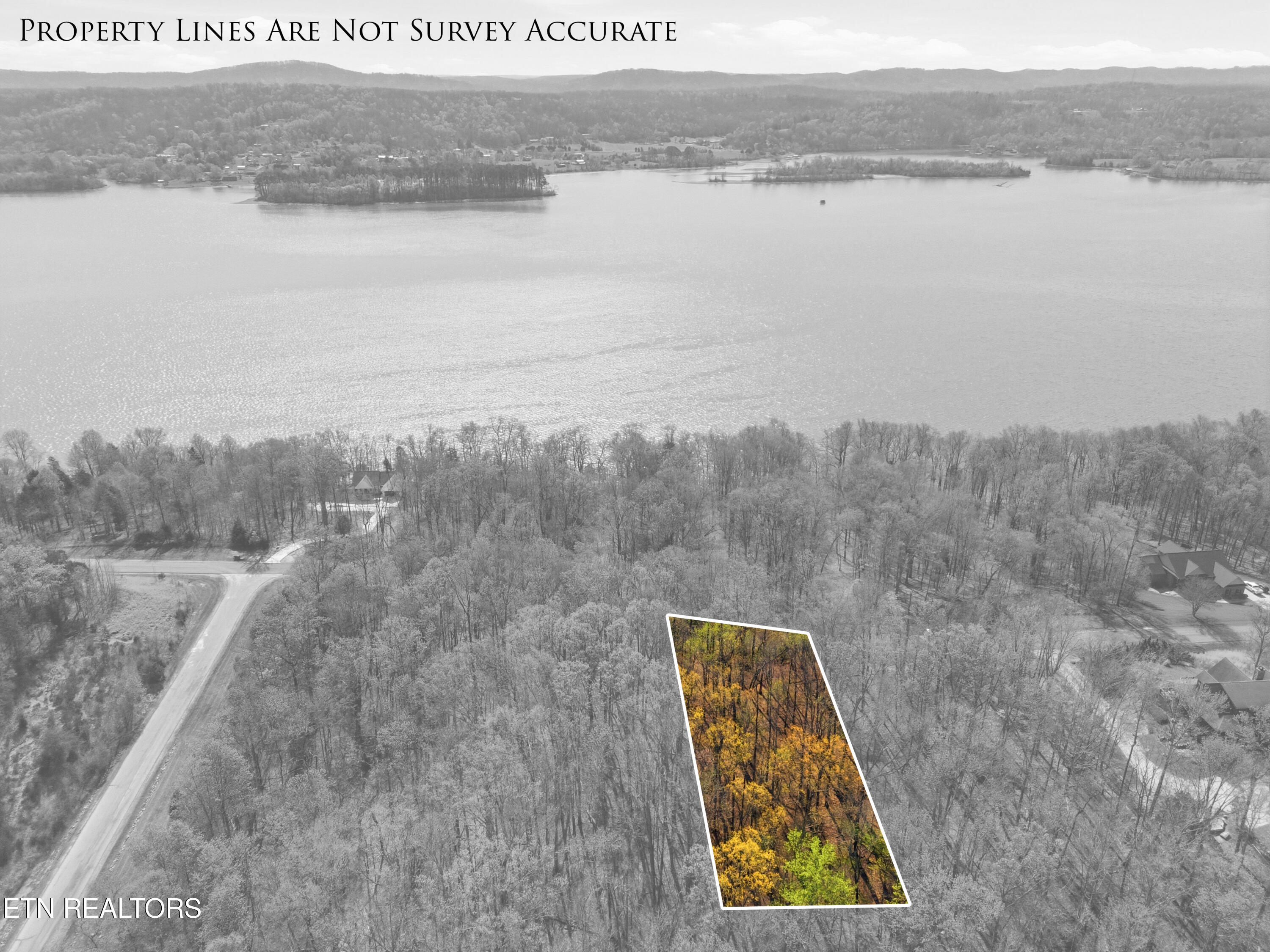 Lot 141 E Shore Drive Rockwood TN 37854