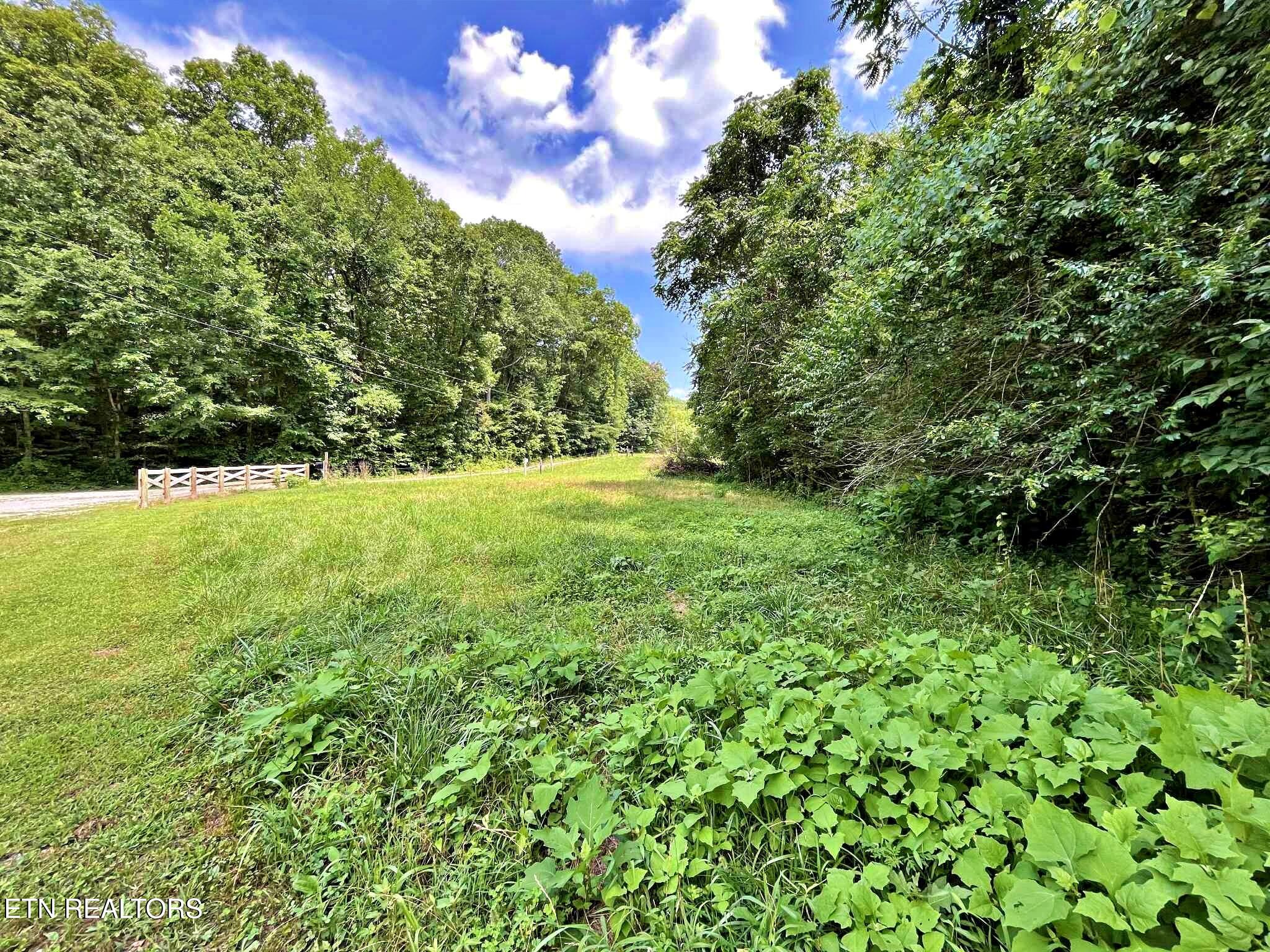 Lot 7 Raby Hollow Road Kingston TN 37763