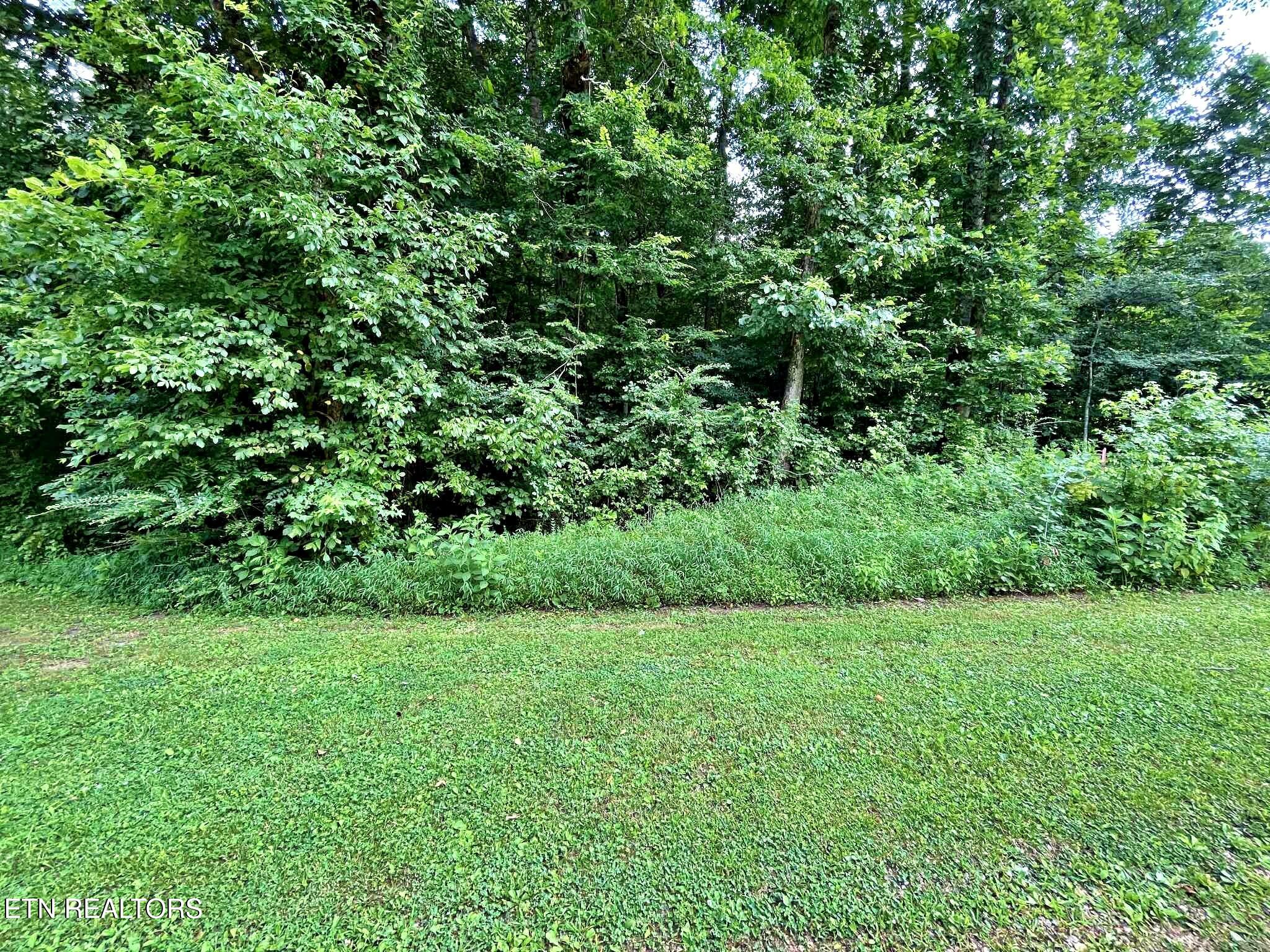 Lot 7 Raby Hollow Road Kingston TN 37763