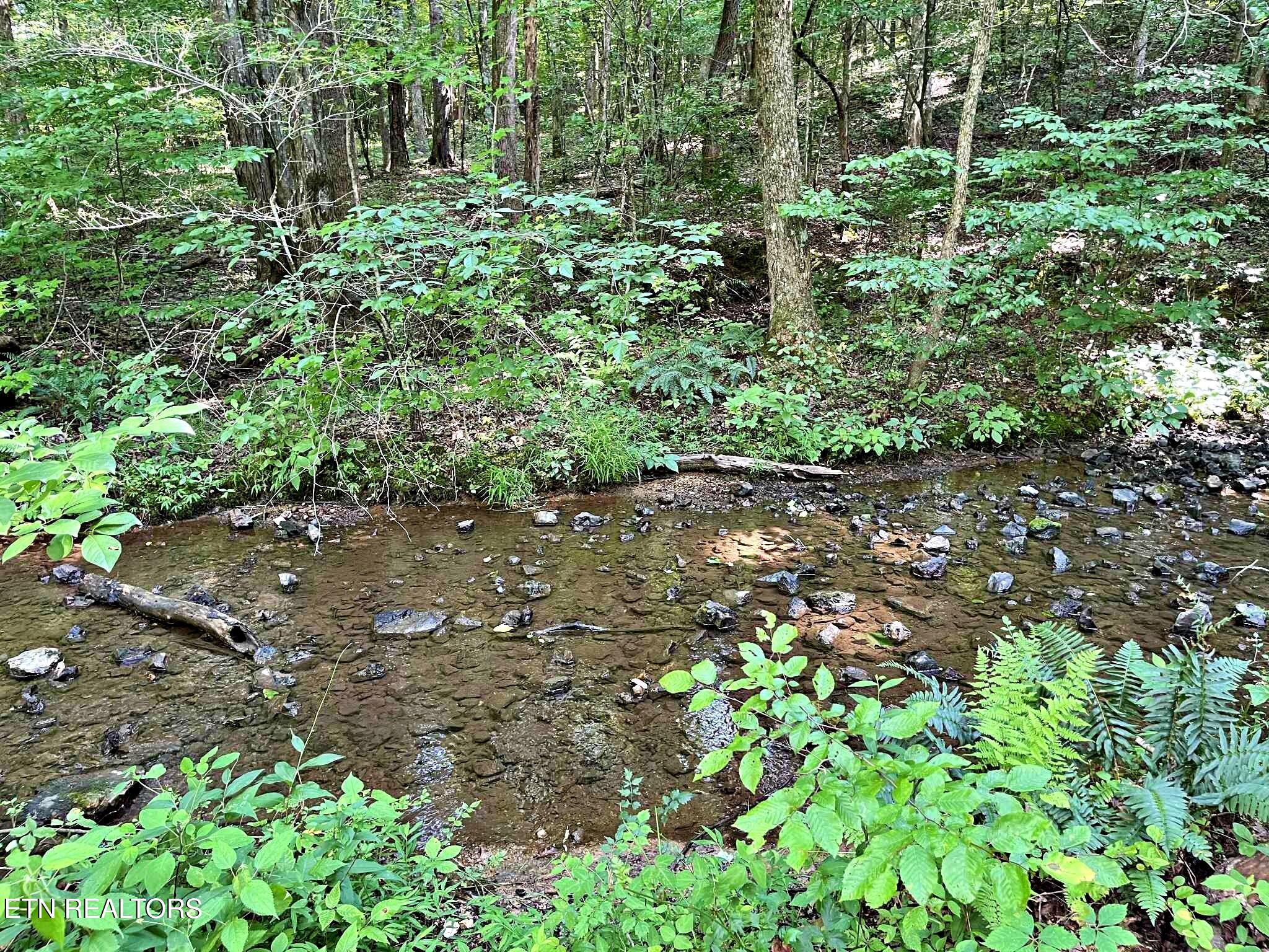 Lot 7 Raby Hollow Road Kingston TN 37763