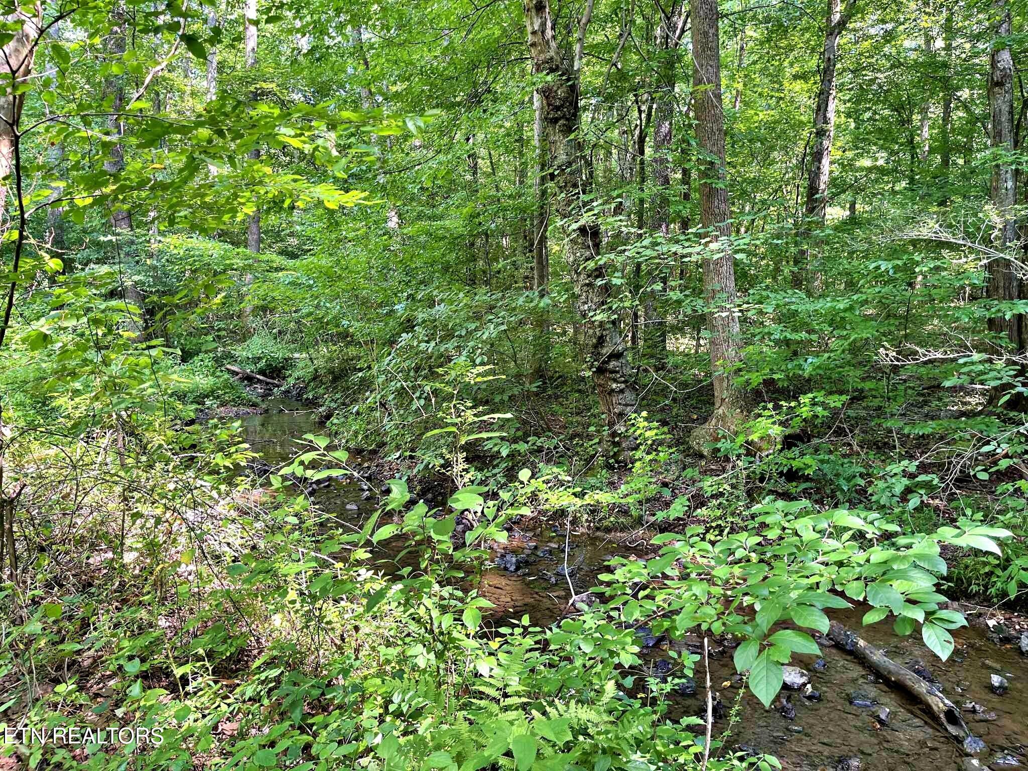 Lot 7 Raby Hollow Road Kingston TN 37763