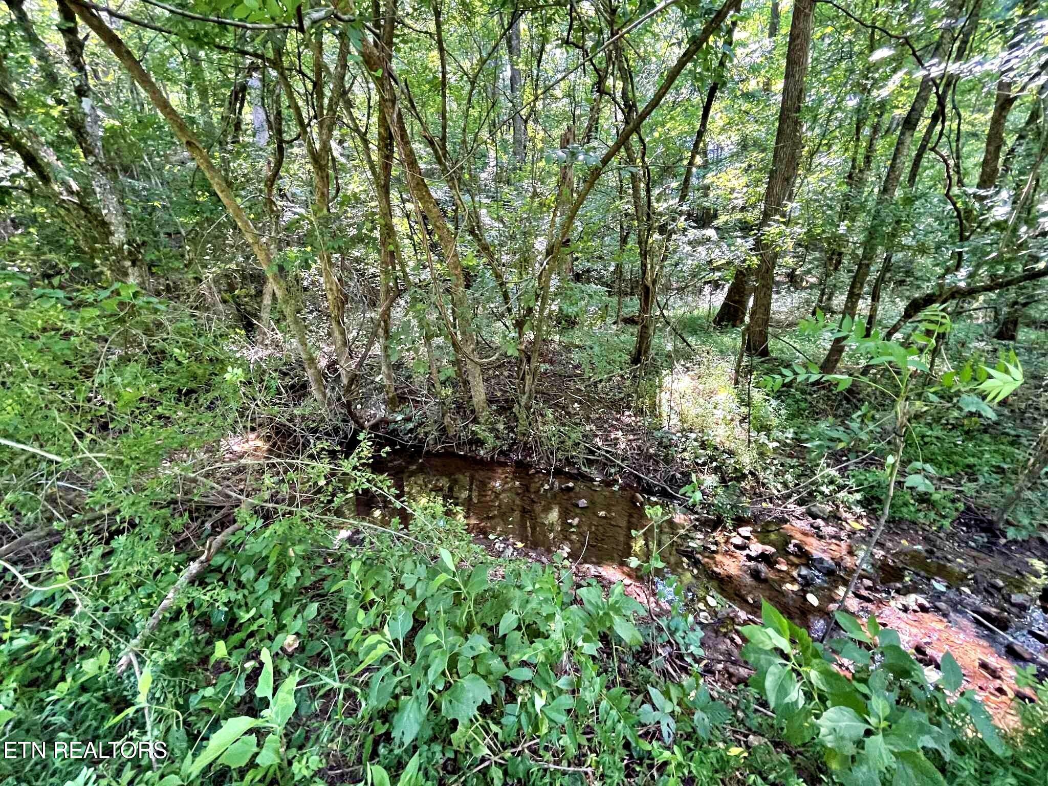 Lot 7 Raby Hollow Road Kingston TN 37763