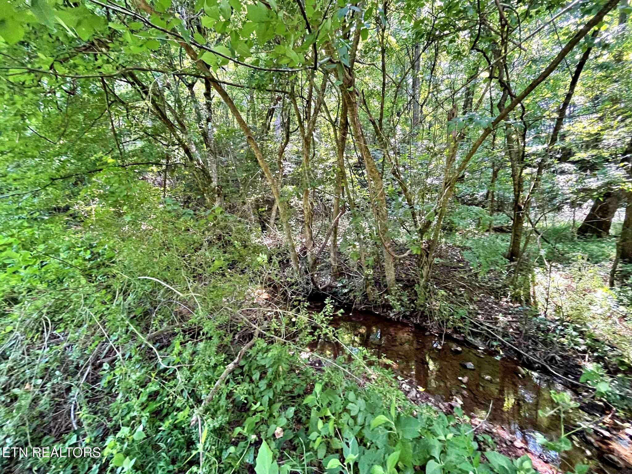 Lot 7 Raby Hollow Road Kingston TN 37763