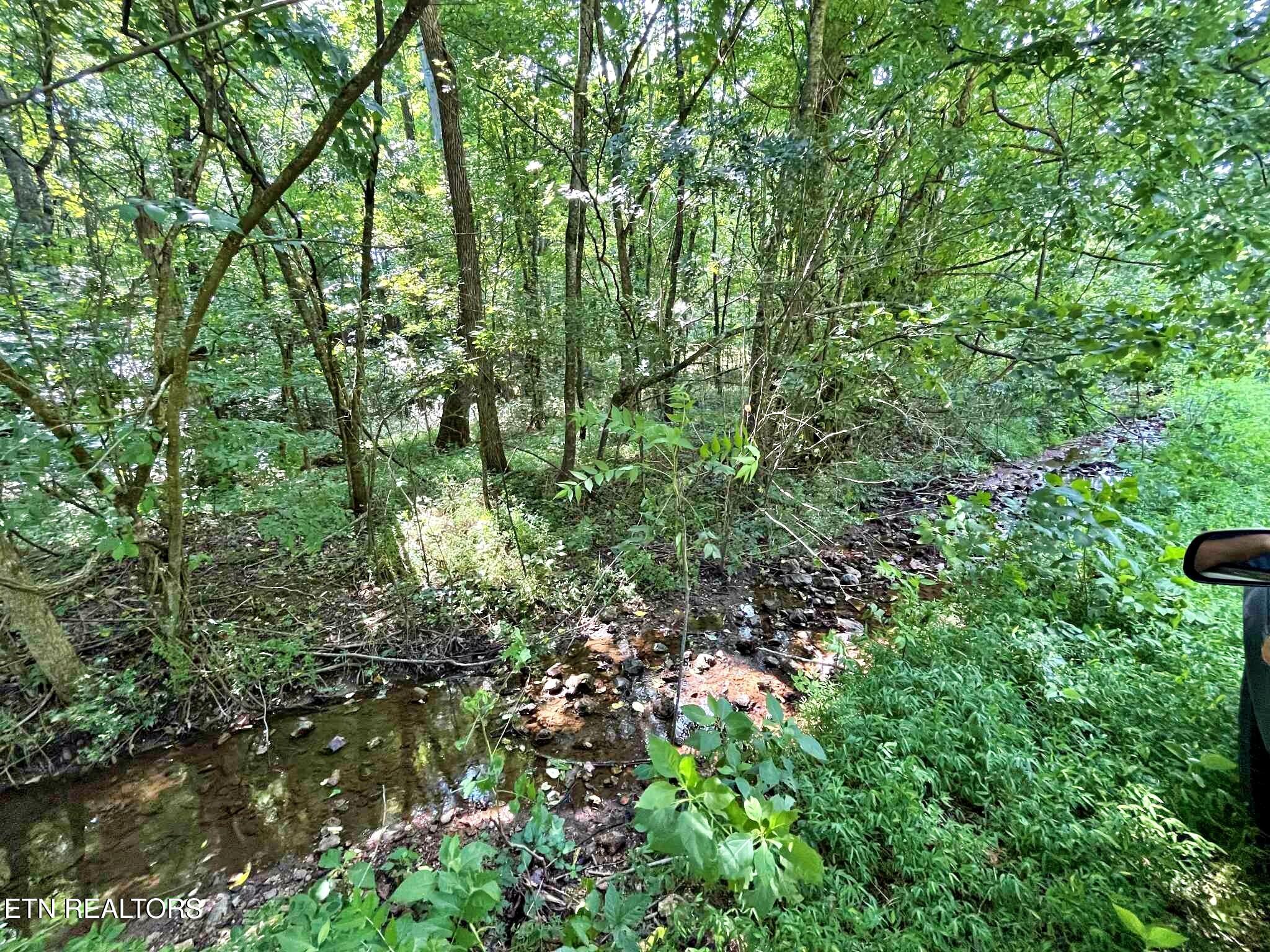 Lot 7 Raby Hollow Road Kingston TN 37763