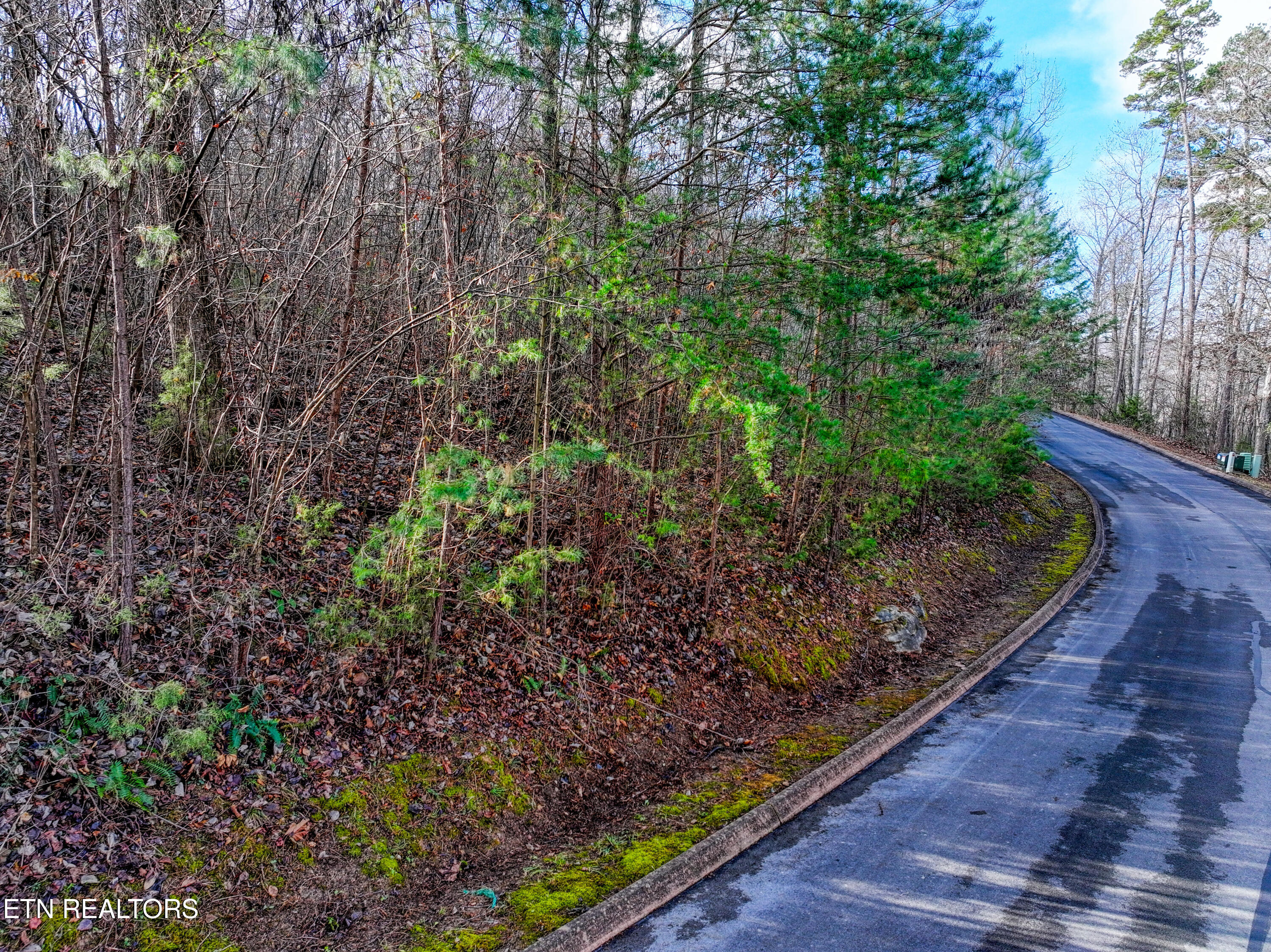 Lot 77 Shiloh Springs Road Rutledge TN 37861