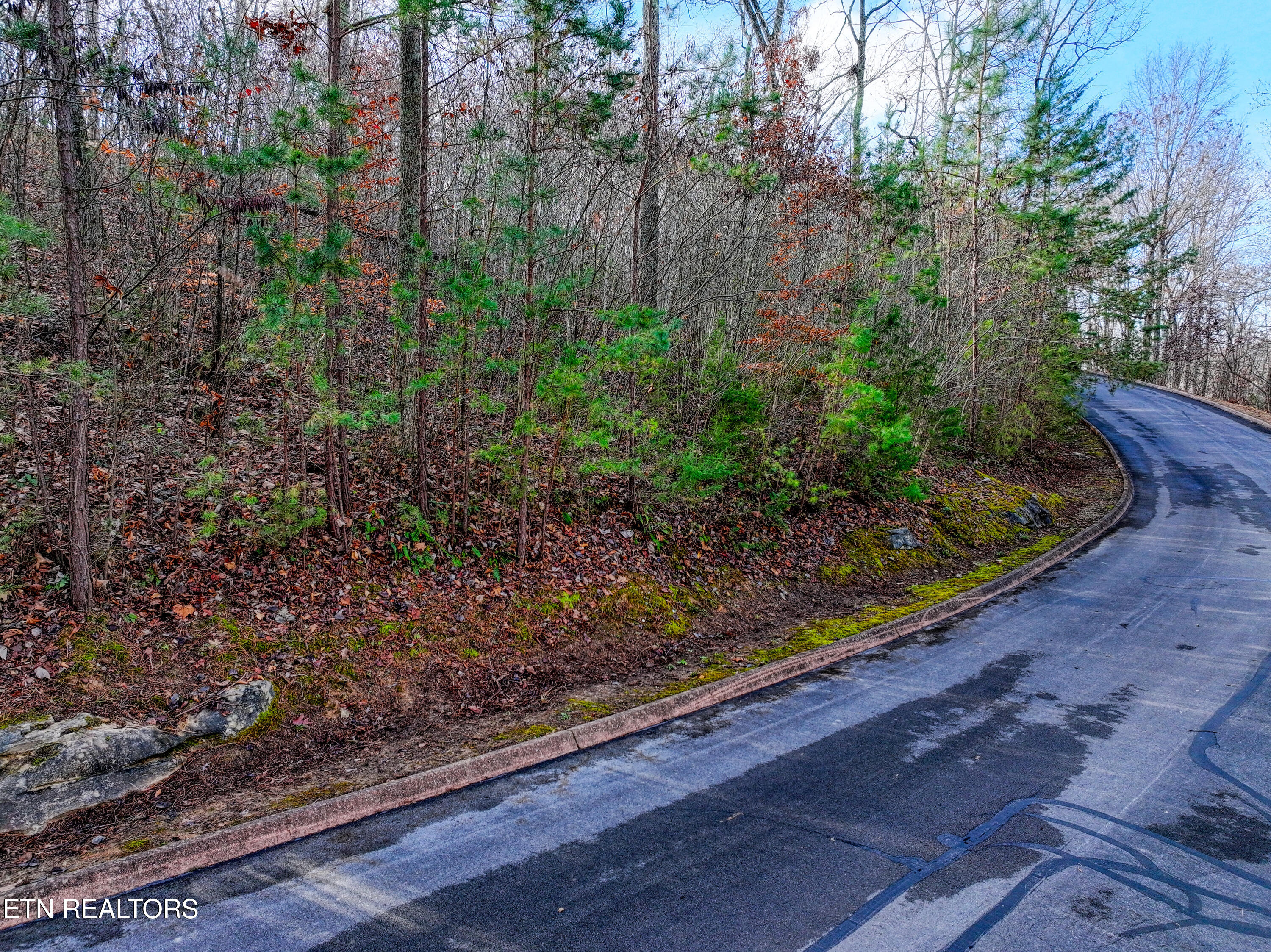 Lot 77 Shiloh Springs Road Rutledge TN 37861